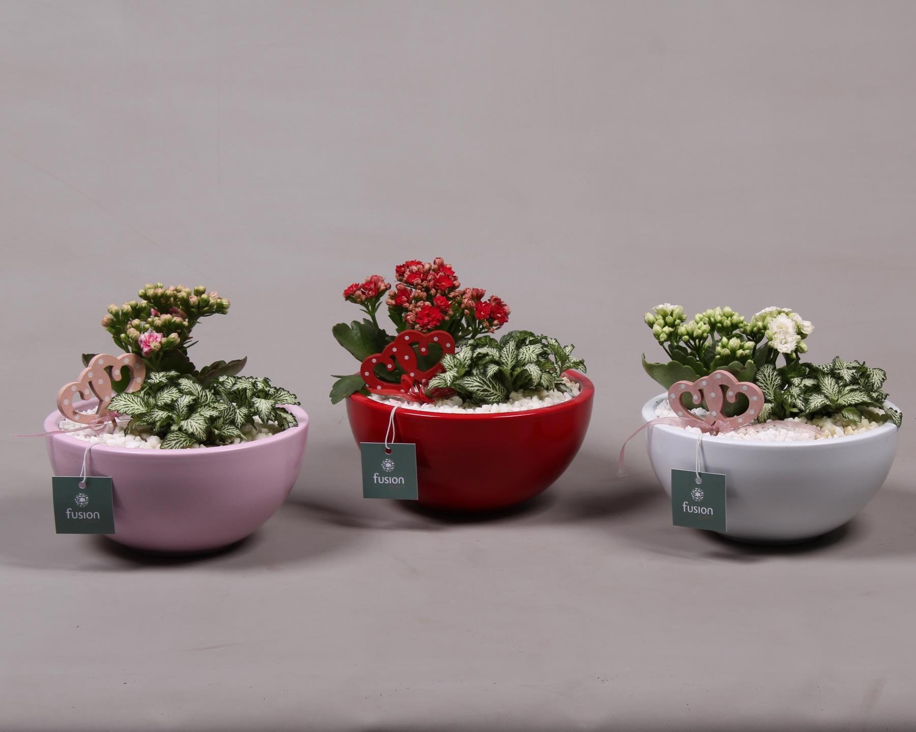 Keramiek moon 3 assortiment met arrangement D18 H36, D 18