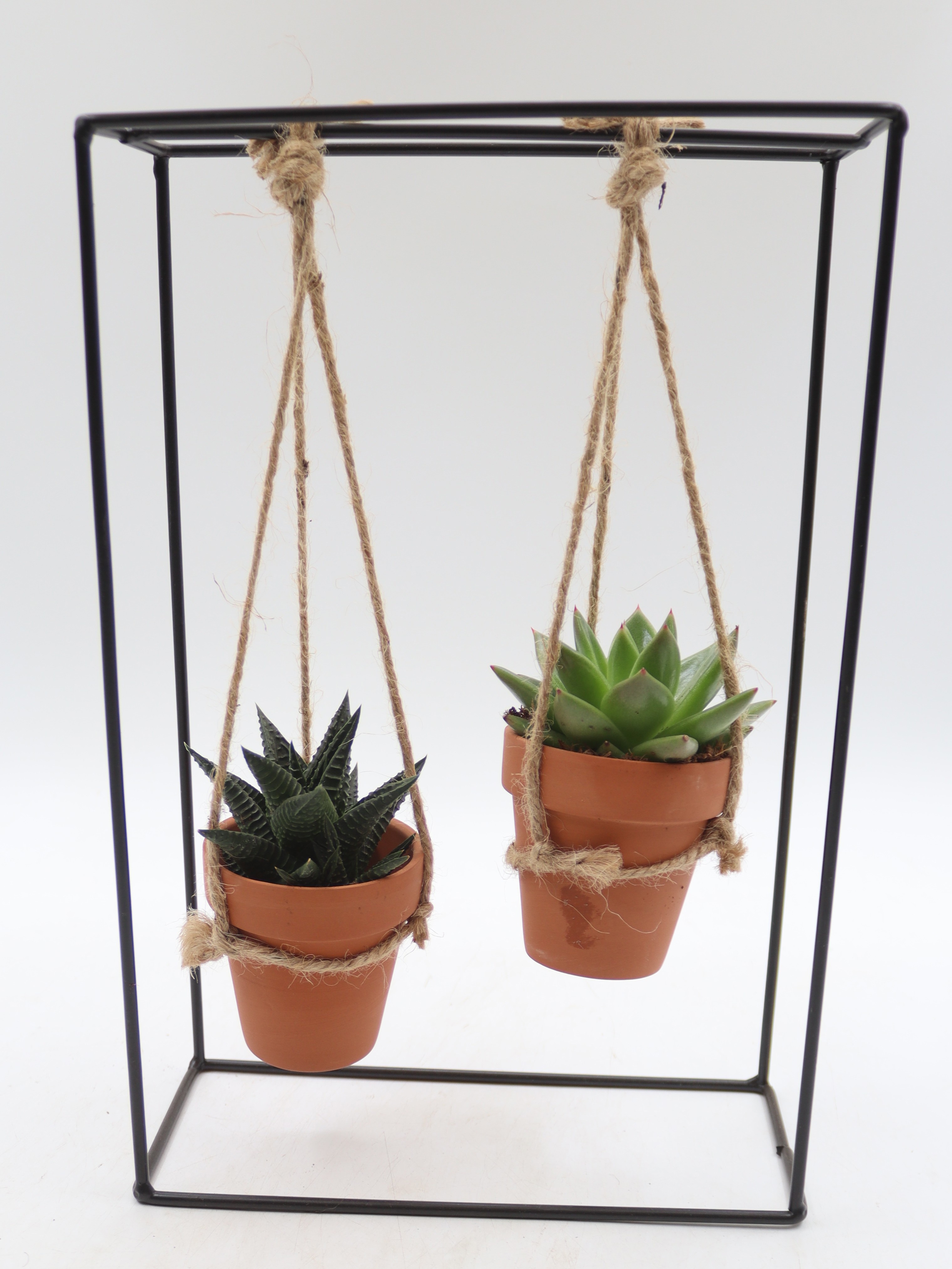 Rek zwart duo terracotta pot, D 20