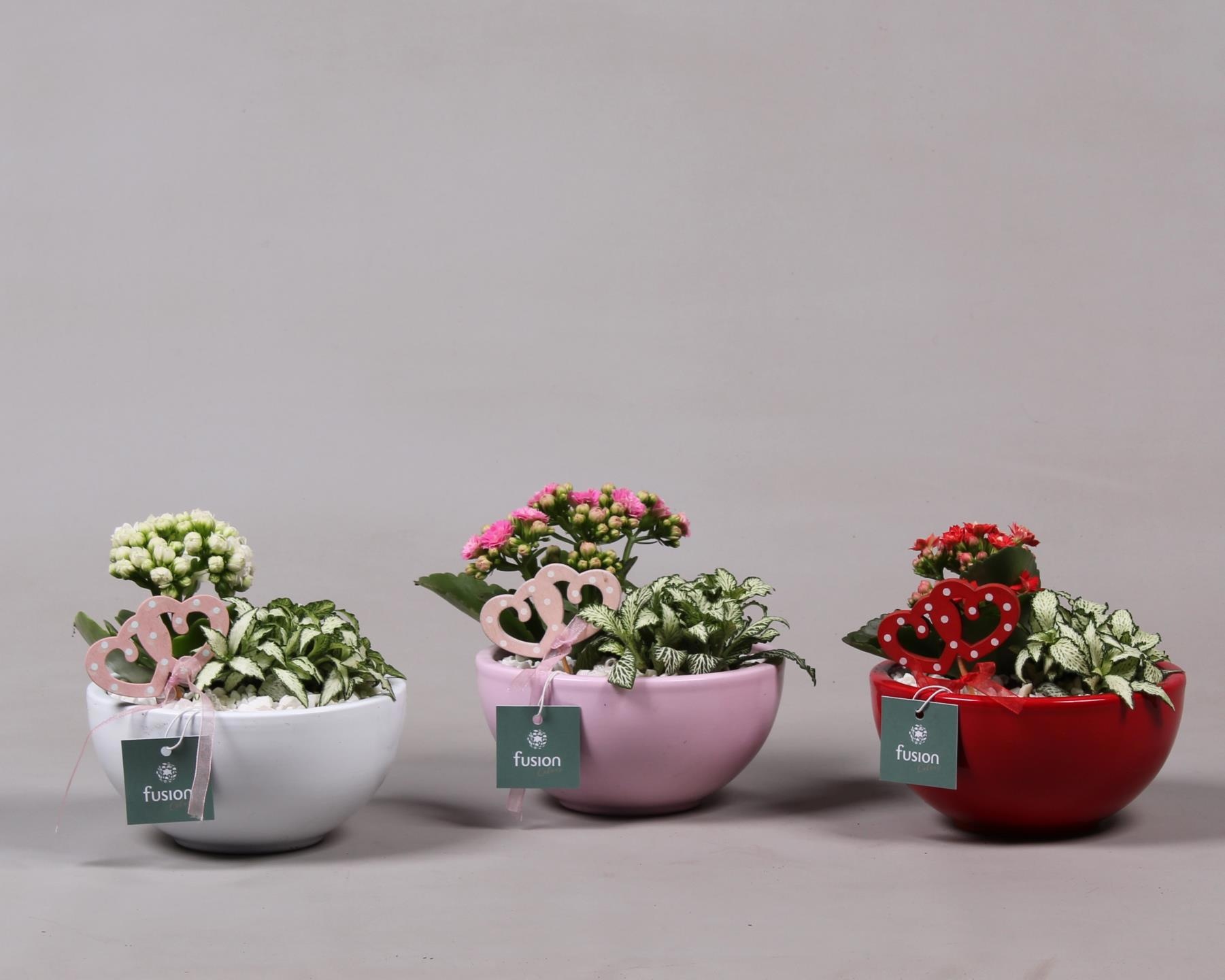 Schaal keramiek Moon Small 3 kleuren Love met Arrangement, D 15