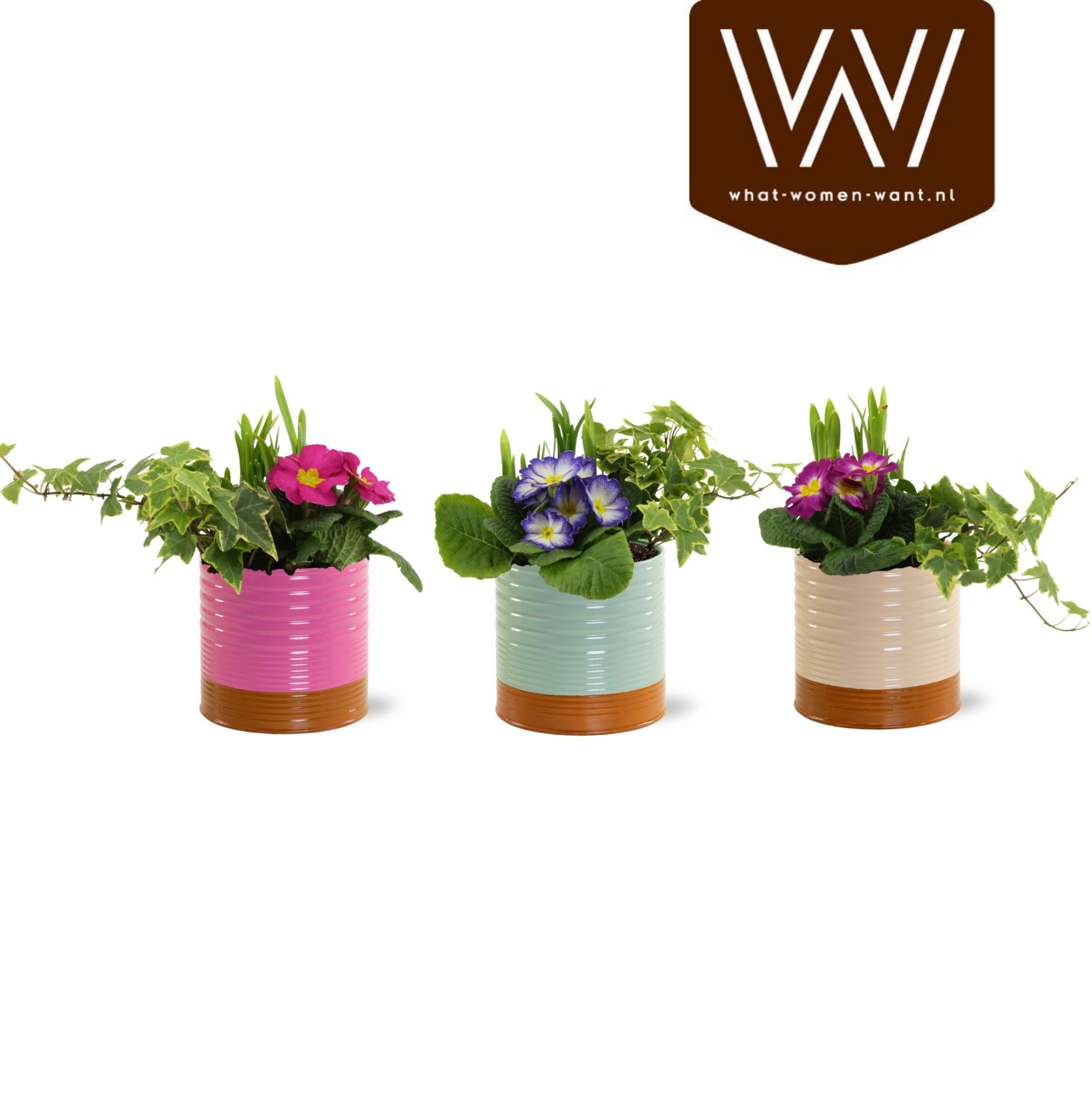 Collectie 'Tasty Bubble' - Arrangement in Zink Nola, D 12