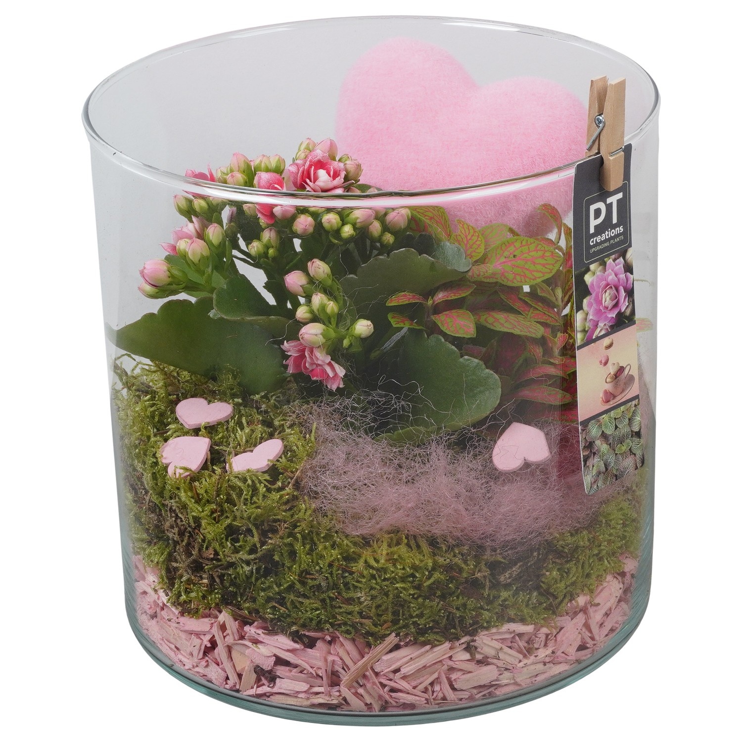 PTVMG4927 Arrangement Valentines-Mothersday in glas vaas, D 19