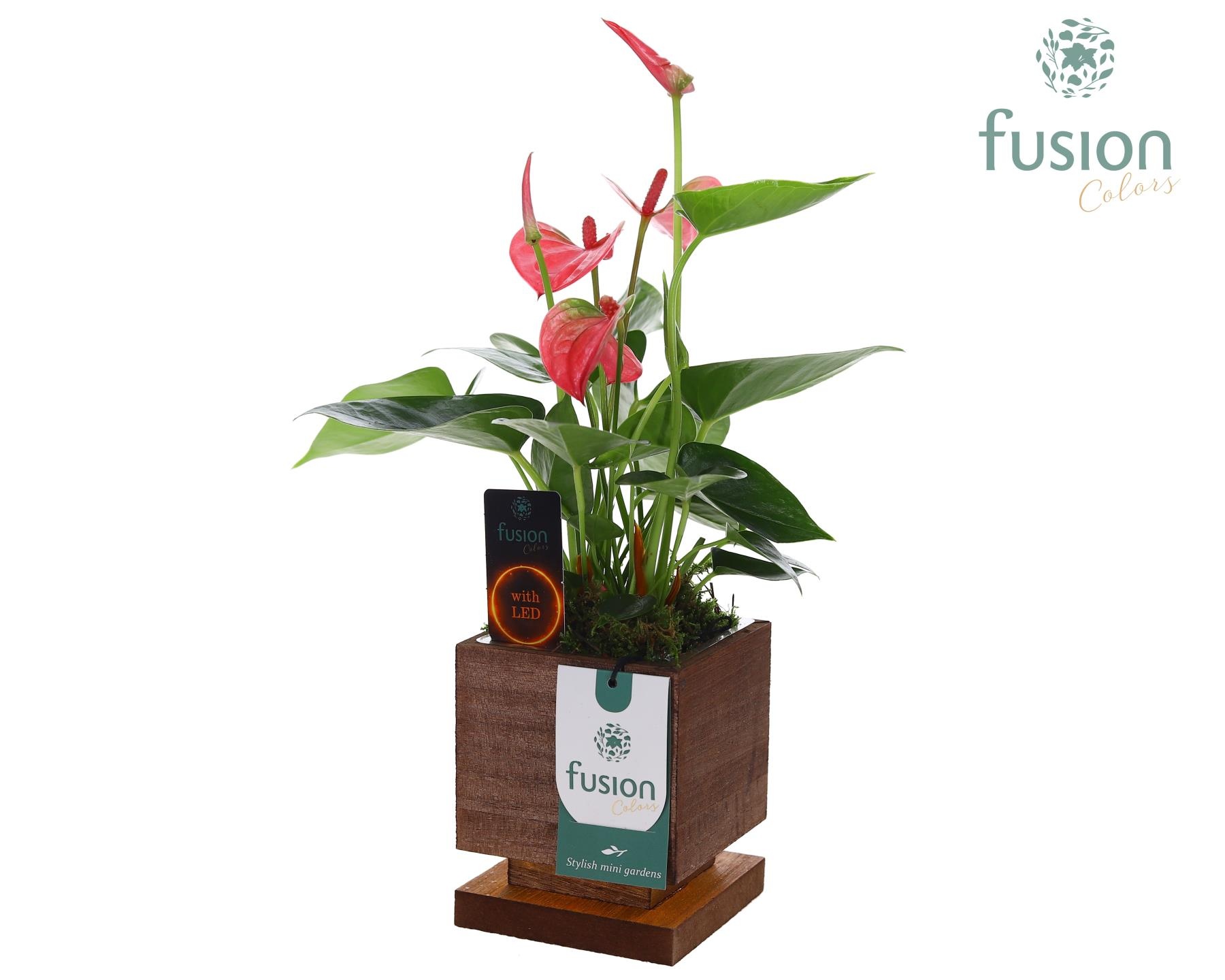 The Green Lighting Garden LED Small met Anthurium, D 10