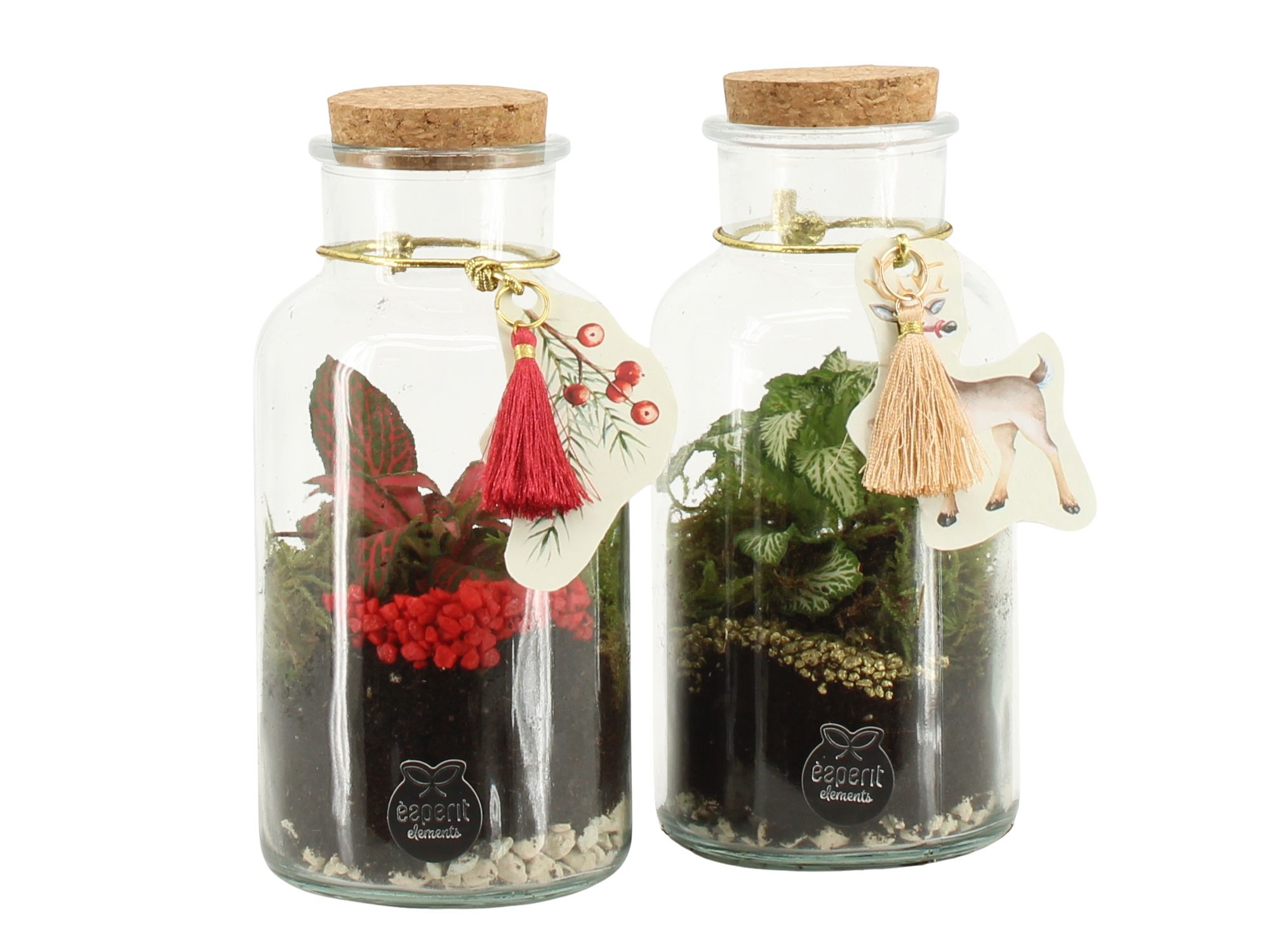 61833: X-mas terrarium, D 8