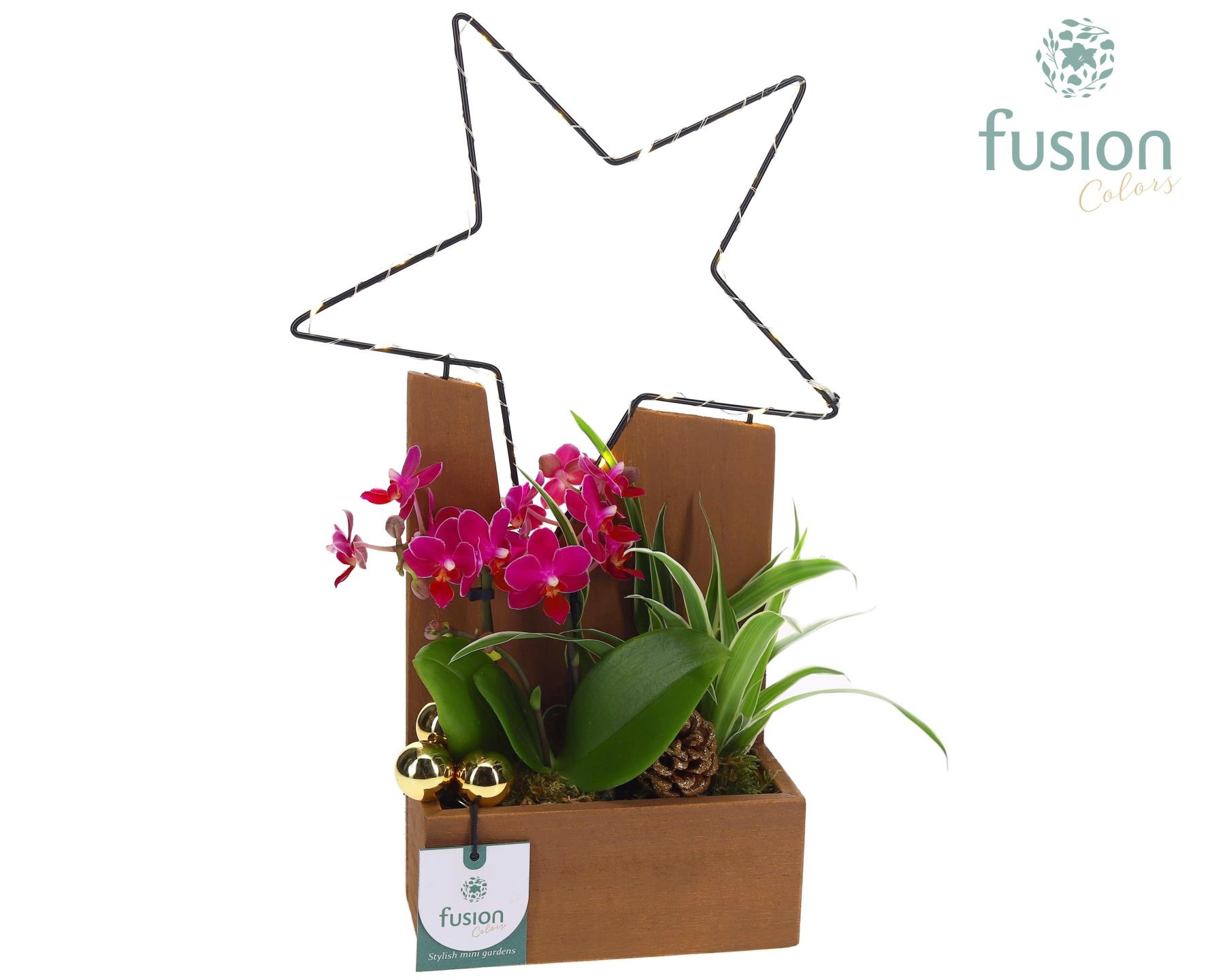 Kerst Plantenbak hout met verlichting en arrangement, D 24 cm