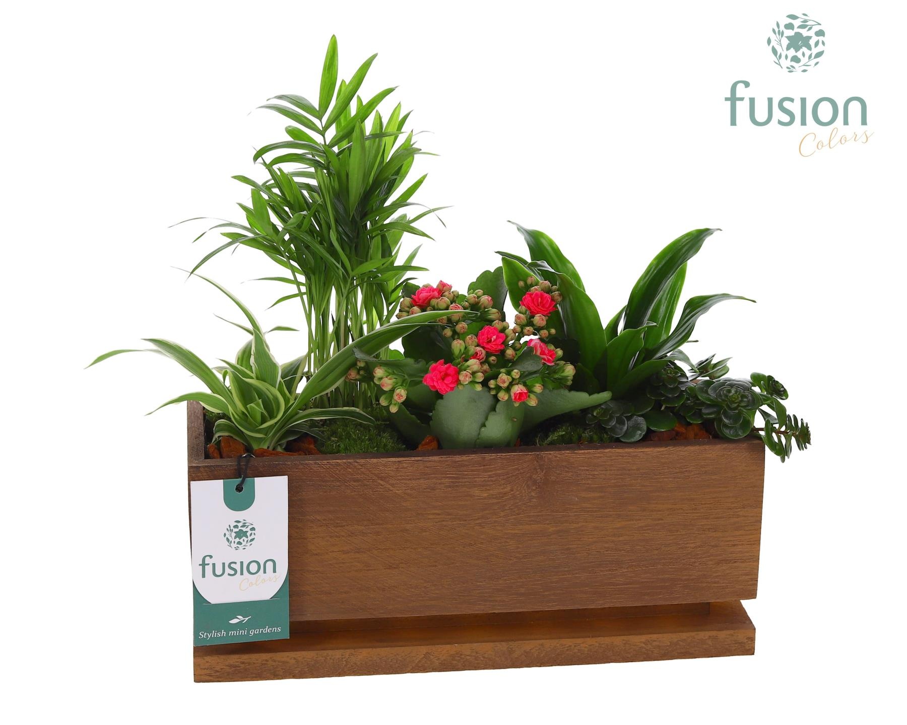 The Lighting Garden LED Medium met arrangement, D 29