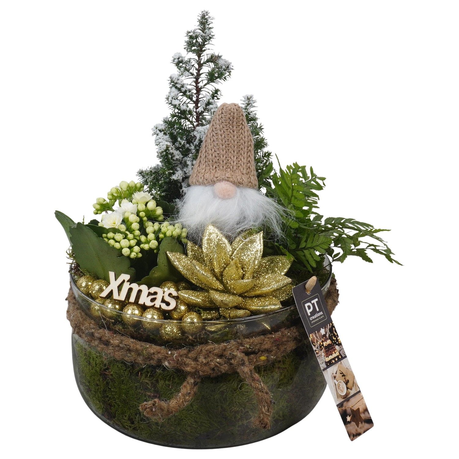 PTCHG5734 Arrangement Christmas Gold in glas schaal, D 19 cm