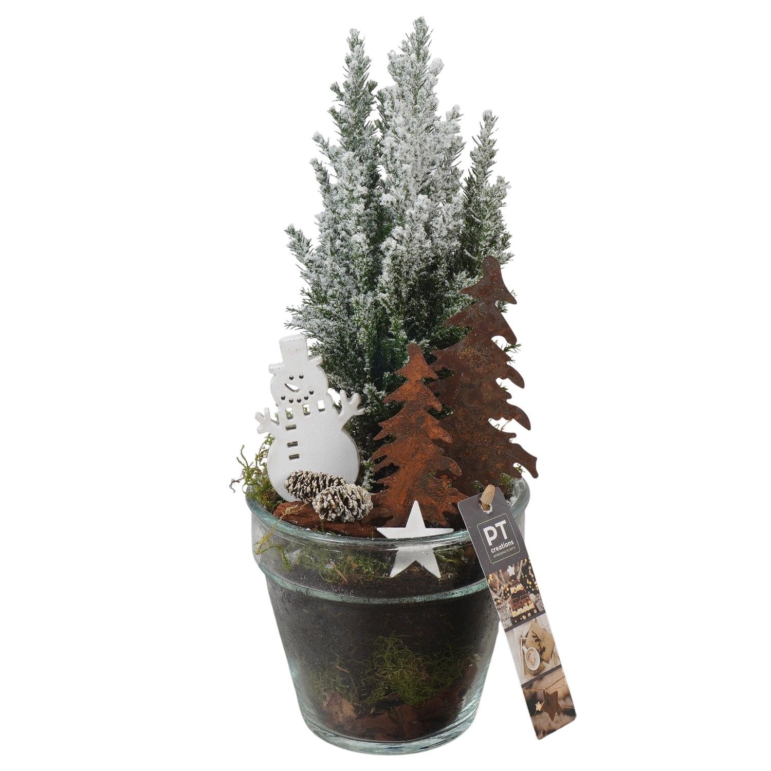 PTCWW6808 Arrangement Winter in glazen vaas, D 13 cm