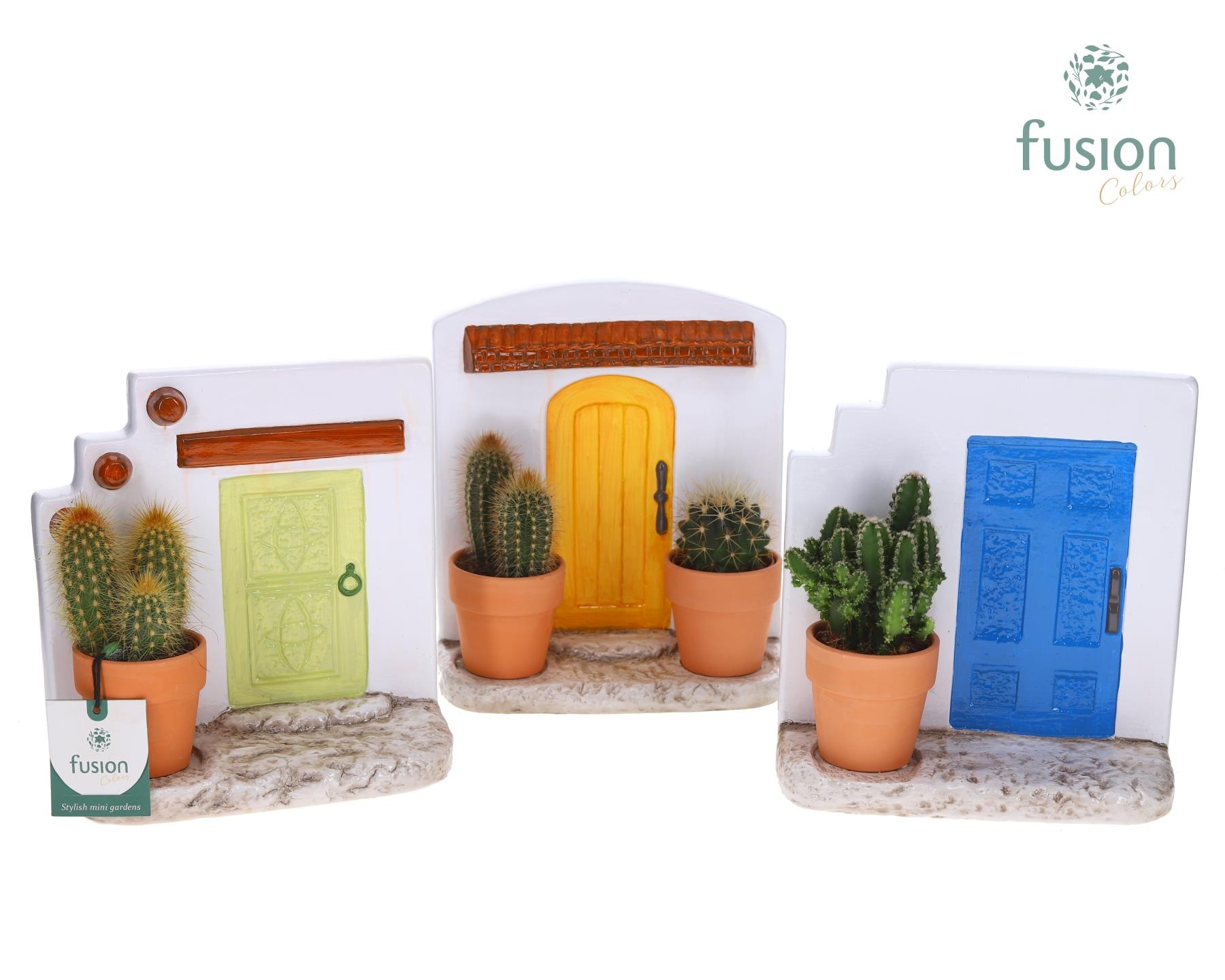 Terracotta Muurplanter met Cactus, D 20