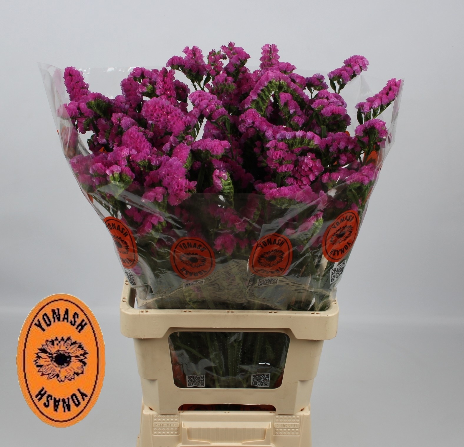 Статица Этернал Пинк 75, шт.