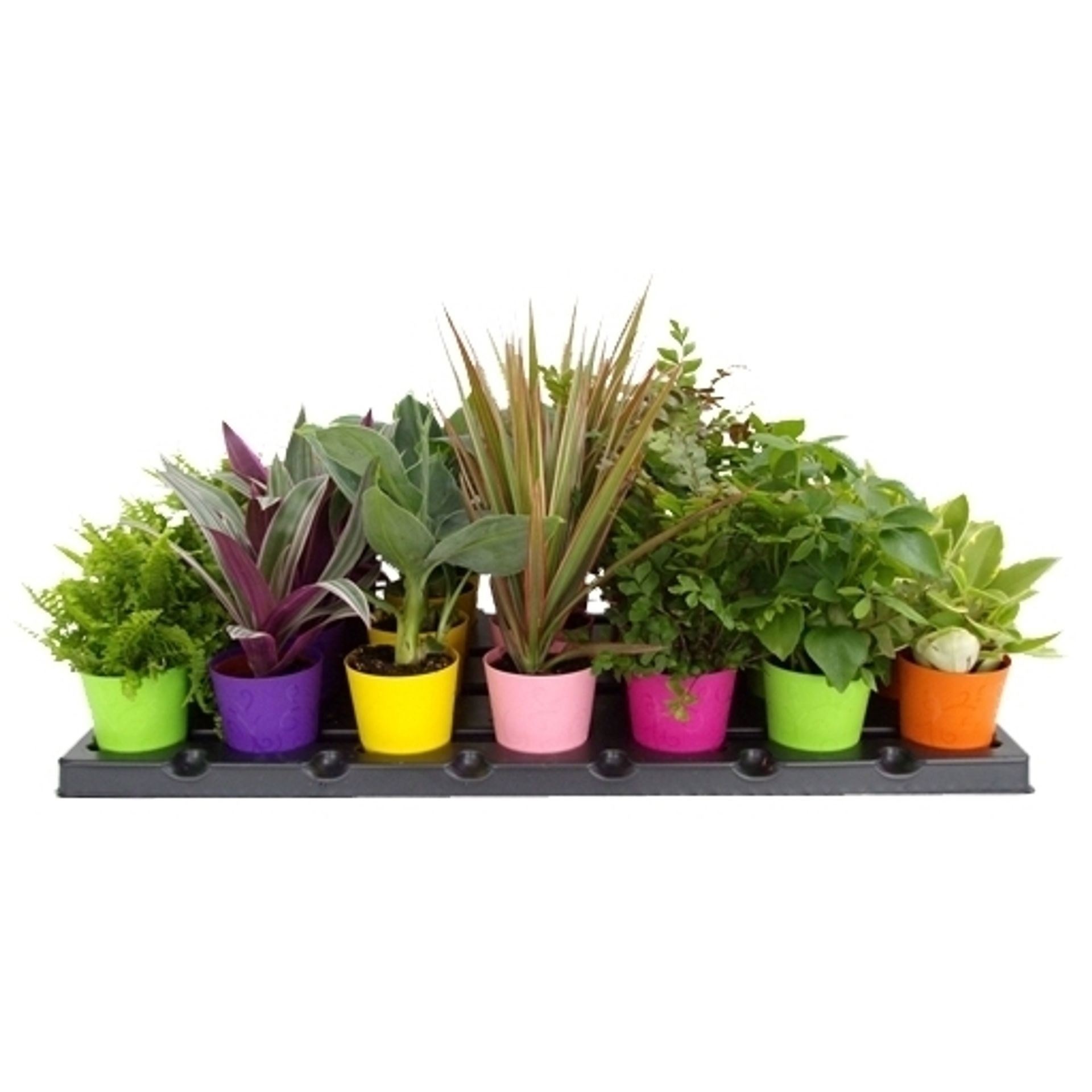 Lundager Colour Selection, D 6