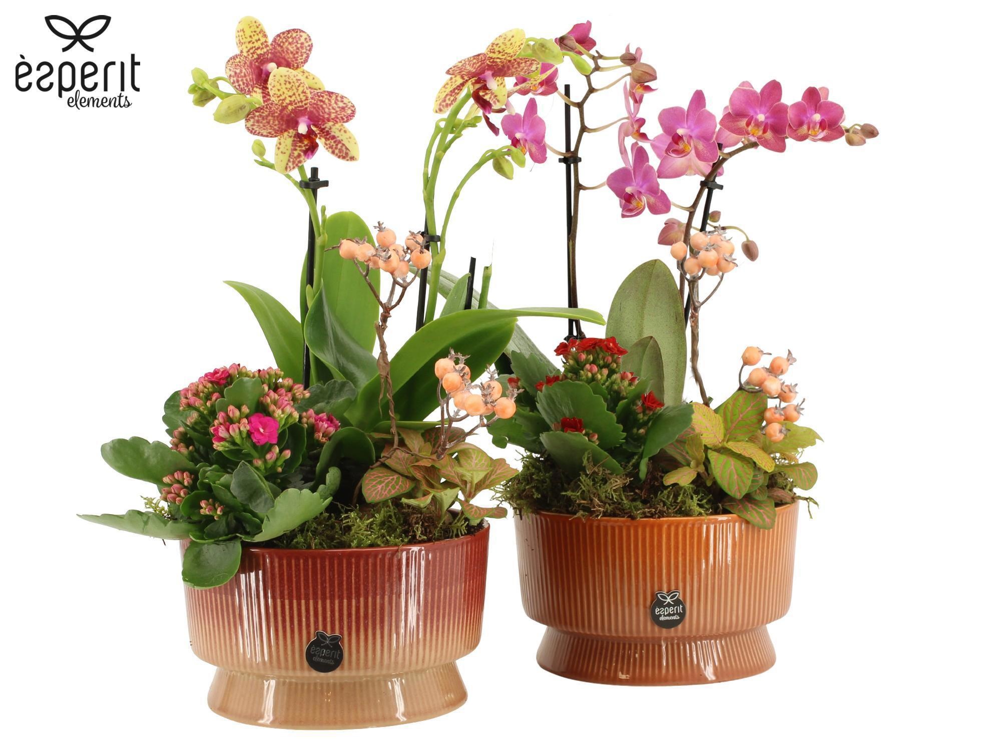 41822: Recreate arrangement, D 17