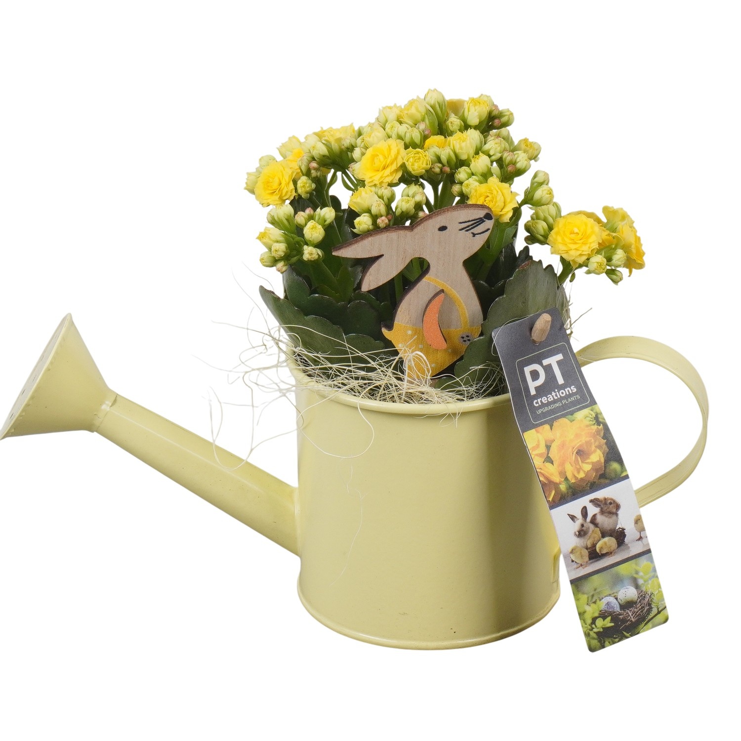 PTPB6427 Arrangement Easter in zink gieter, D 9