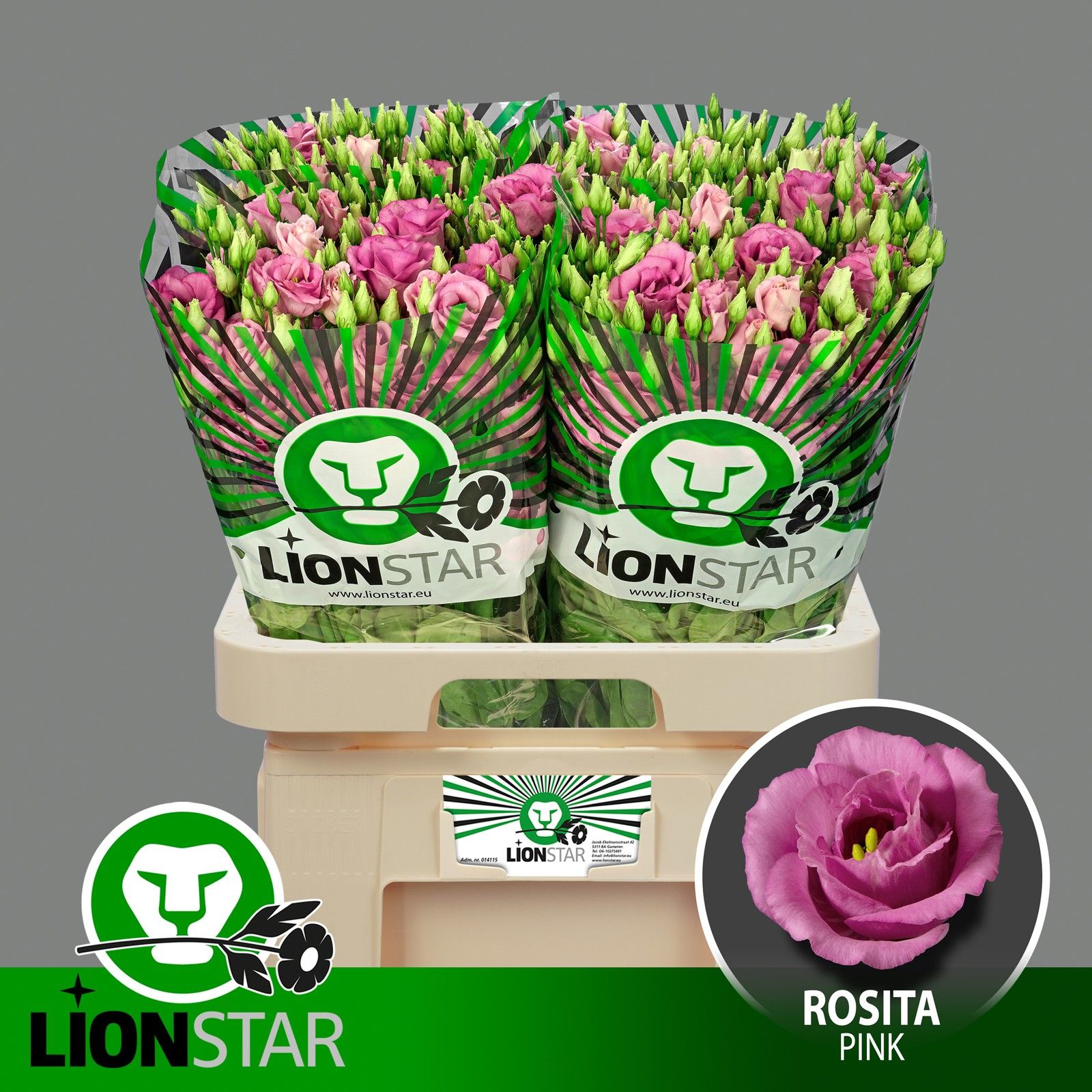 Эустома Розита Роуз пинк 70 (ярко-роз.), шт.