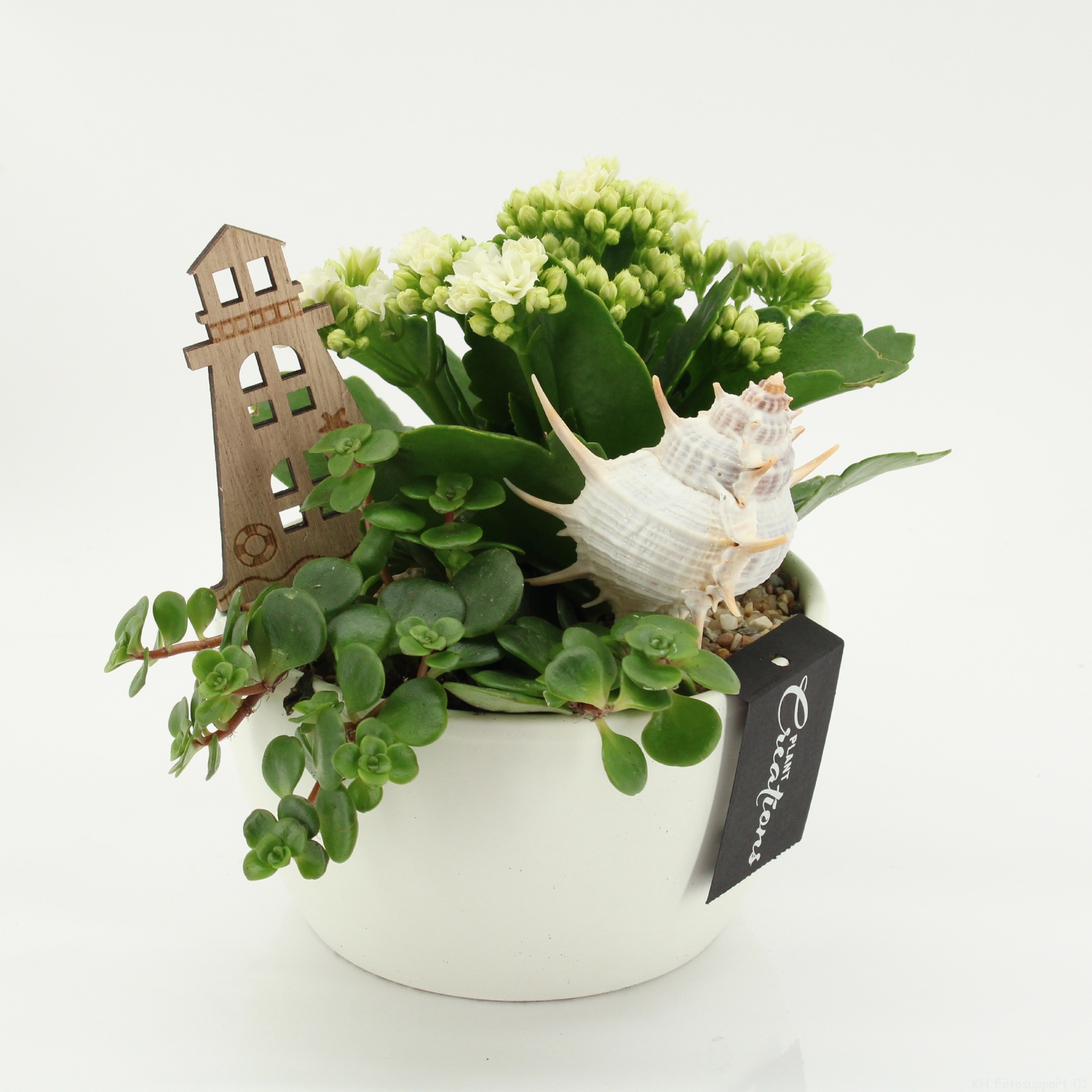 SFCR-2617 Summer Beach, D 14