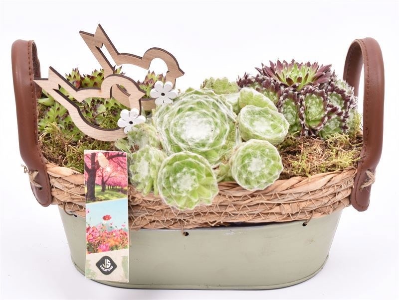 Zink ovaal groen met jute 23x14cm, D 23