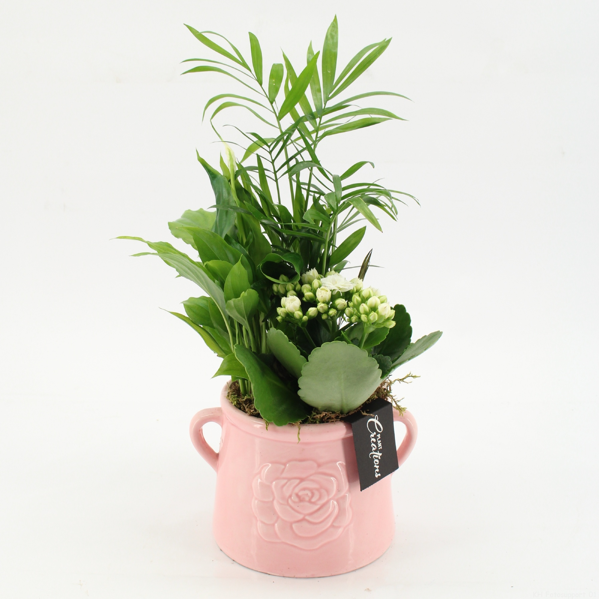 ESCR-2603W Essentials, D 16