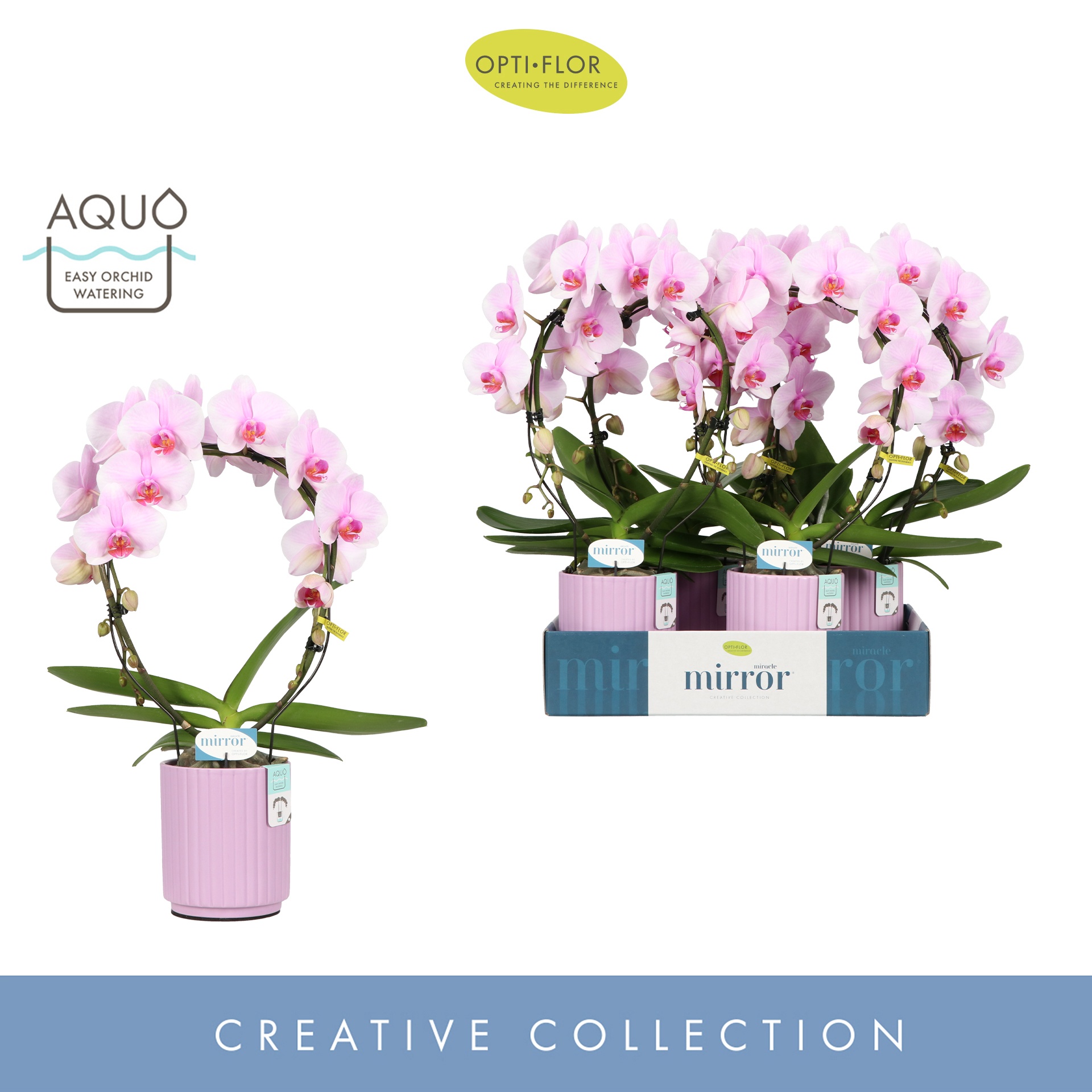 Mirror Miracle Tiana 2 spike in Molise Lilac Aquo, D 12 cm