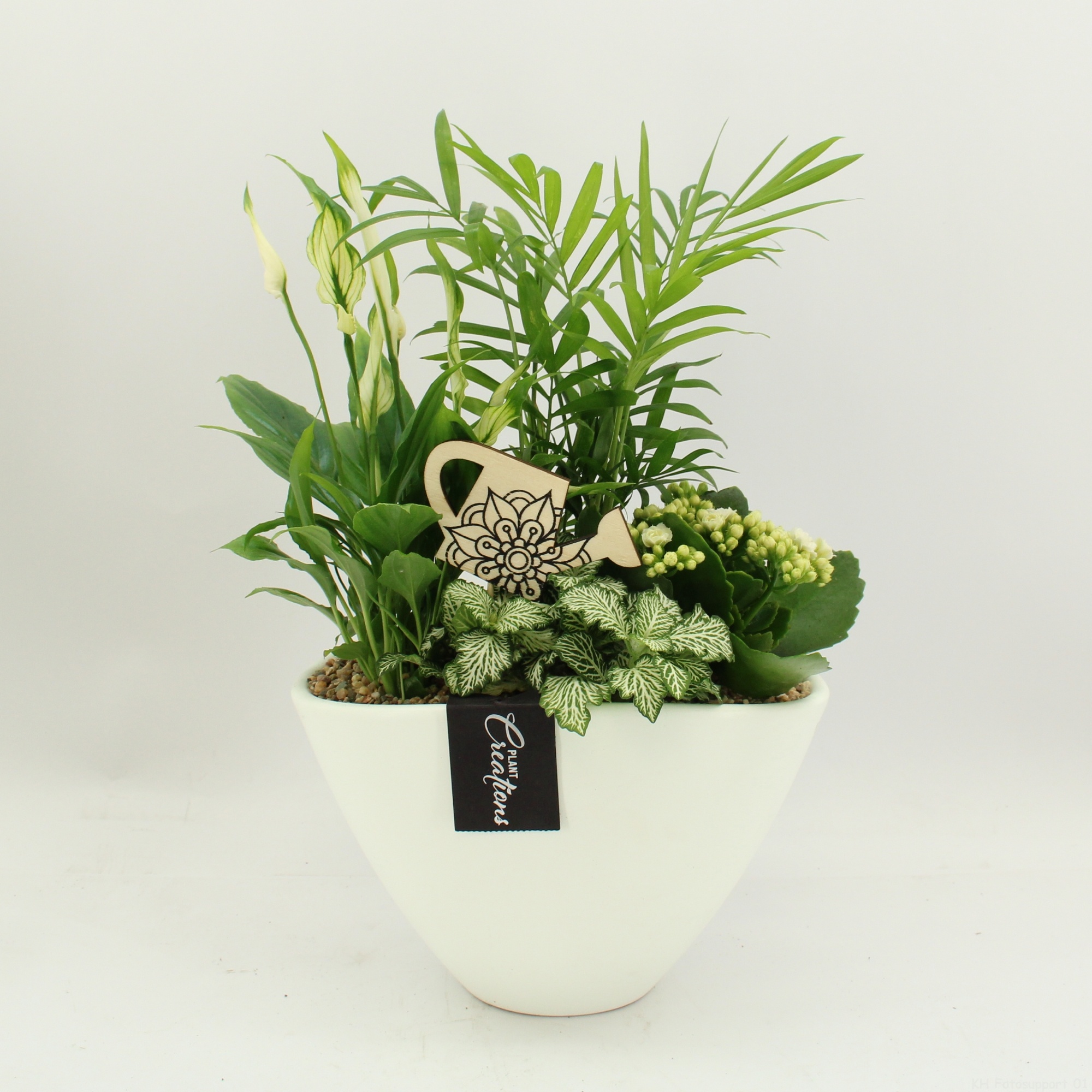 FDCR-2611W Basic Fundamentals, D 21