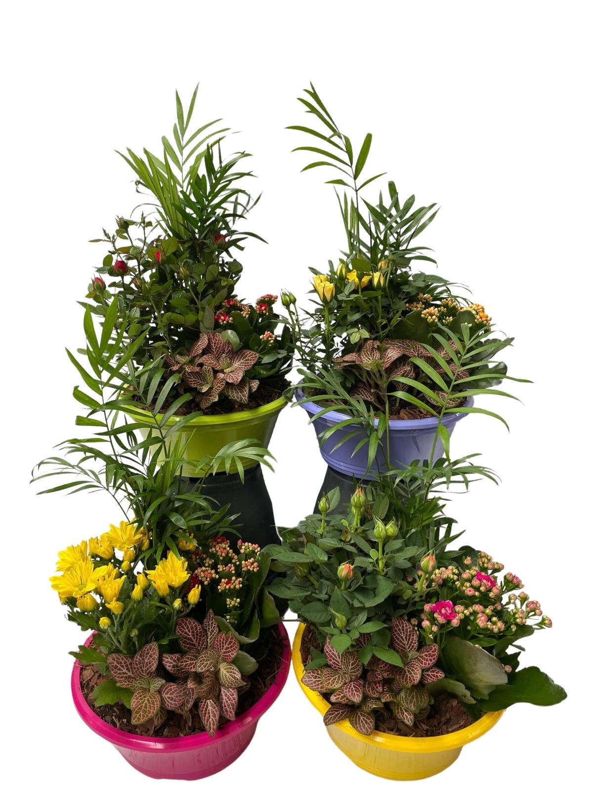 Binnenschaal arrangement B7, D 23