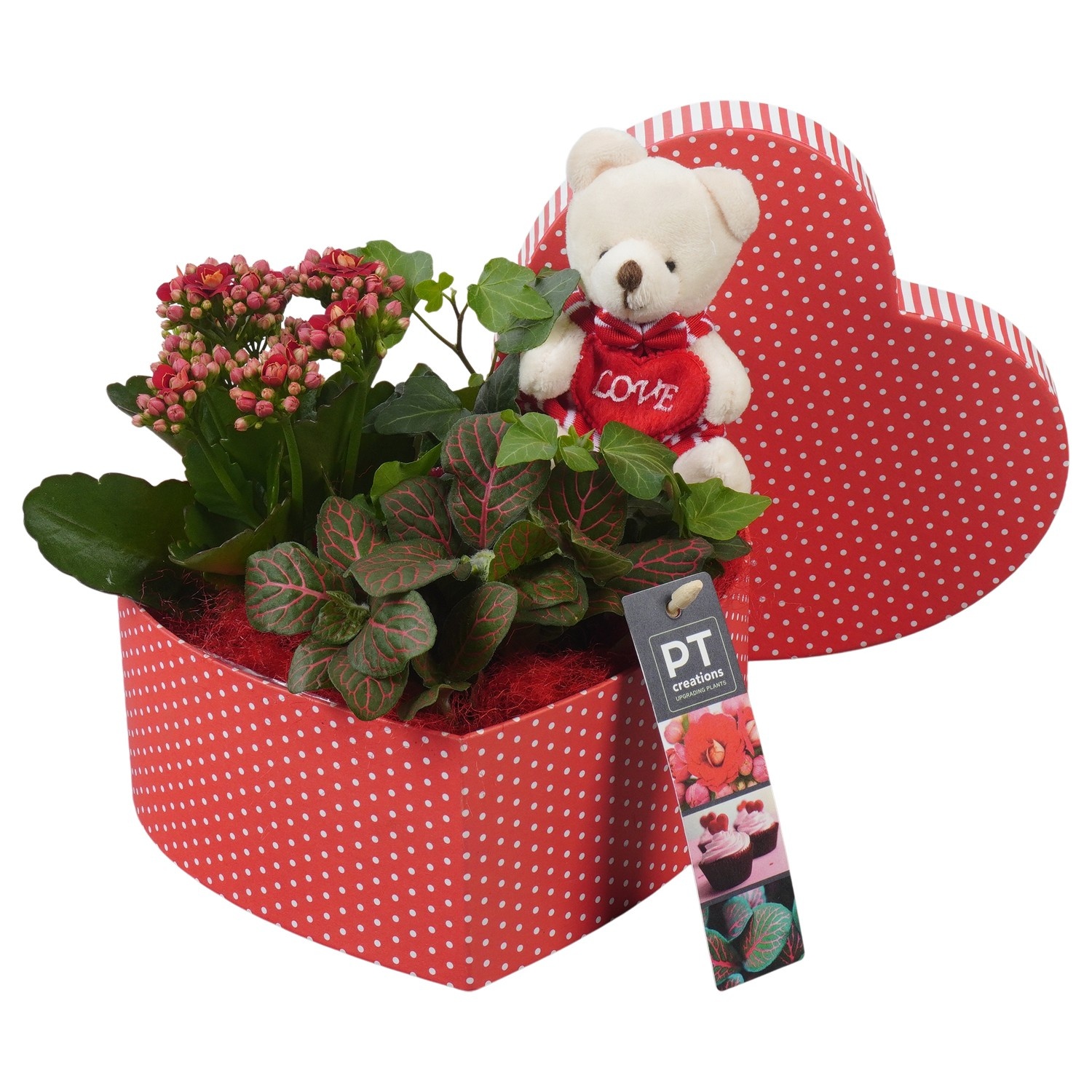 PTVMB2373 Arrangement Valentines-Mothersday in karton hart, D 19