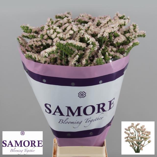 Статица Априкот Сан Бердс 80, шт.