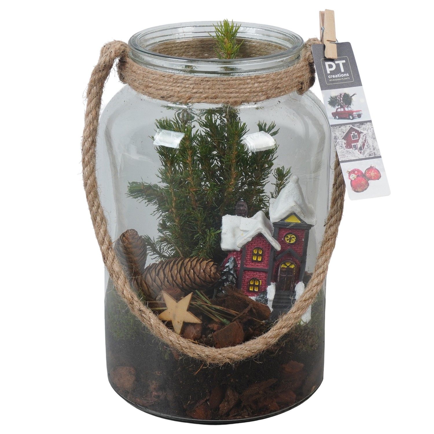 PTCWW6851 Arrangement Winter in glazen vaas, D 16 cm