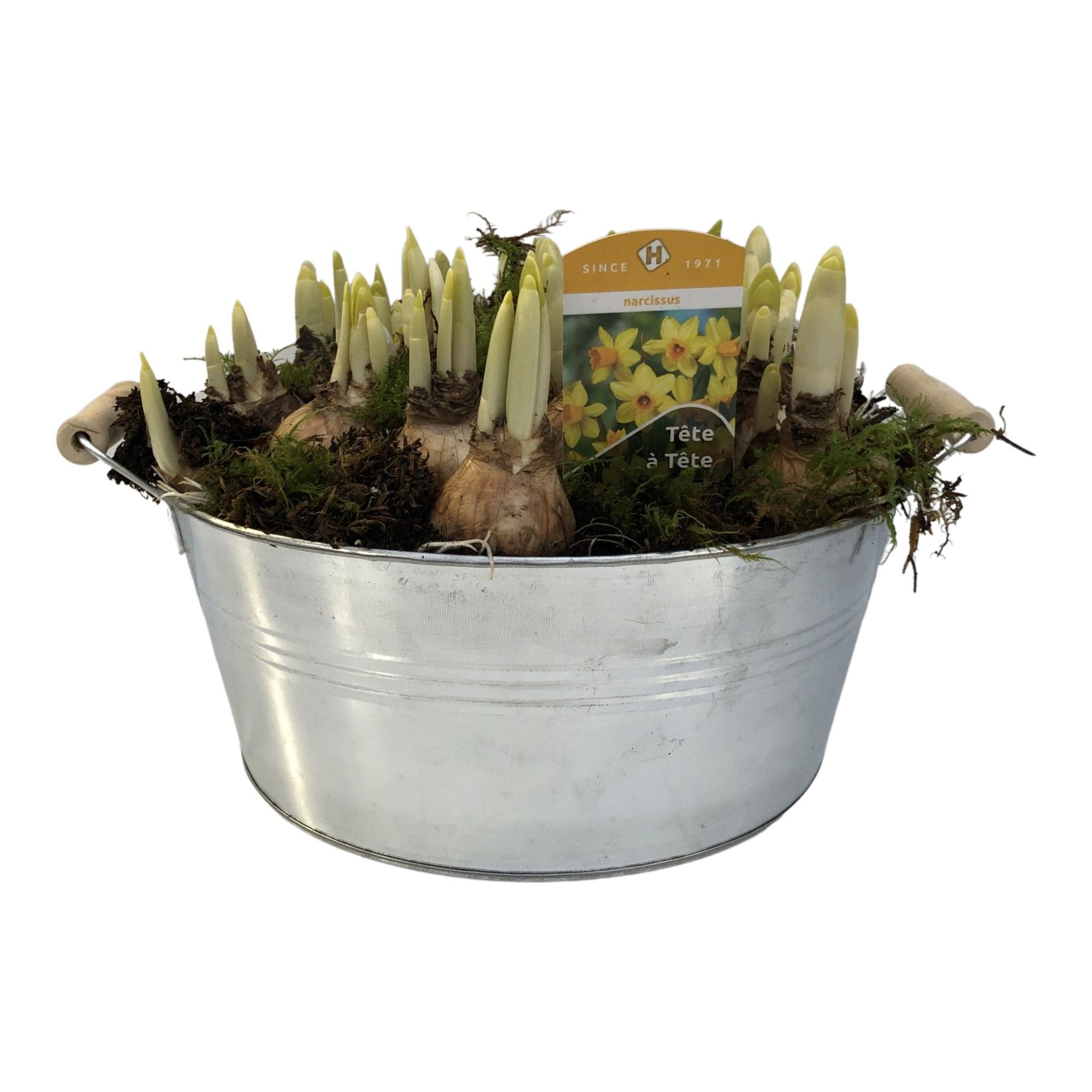 Zink Tete-a-Tete groot rond houten oren, D 30 cm