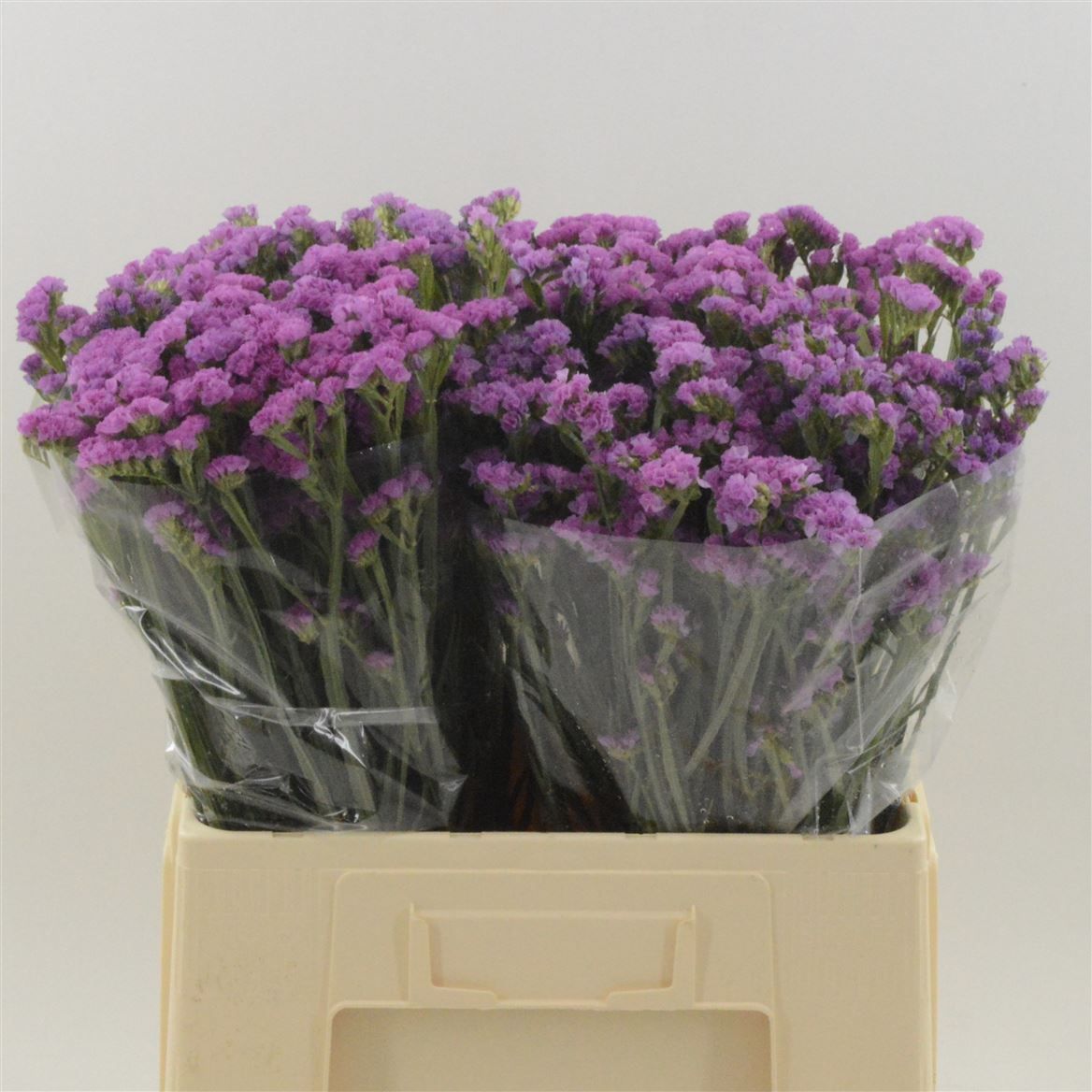 Статица Харт Вингз 60, шт.