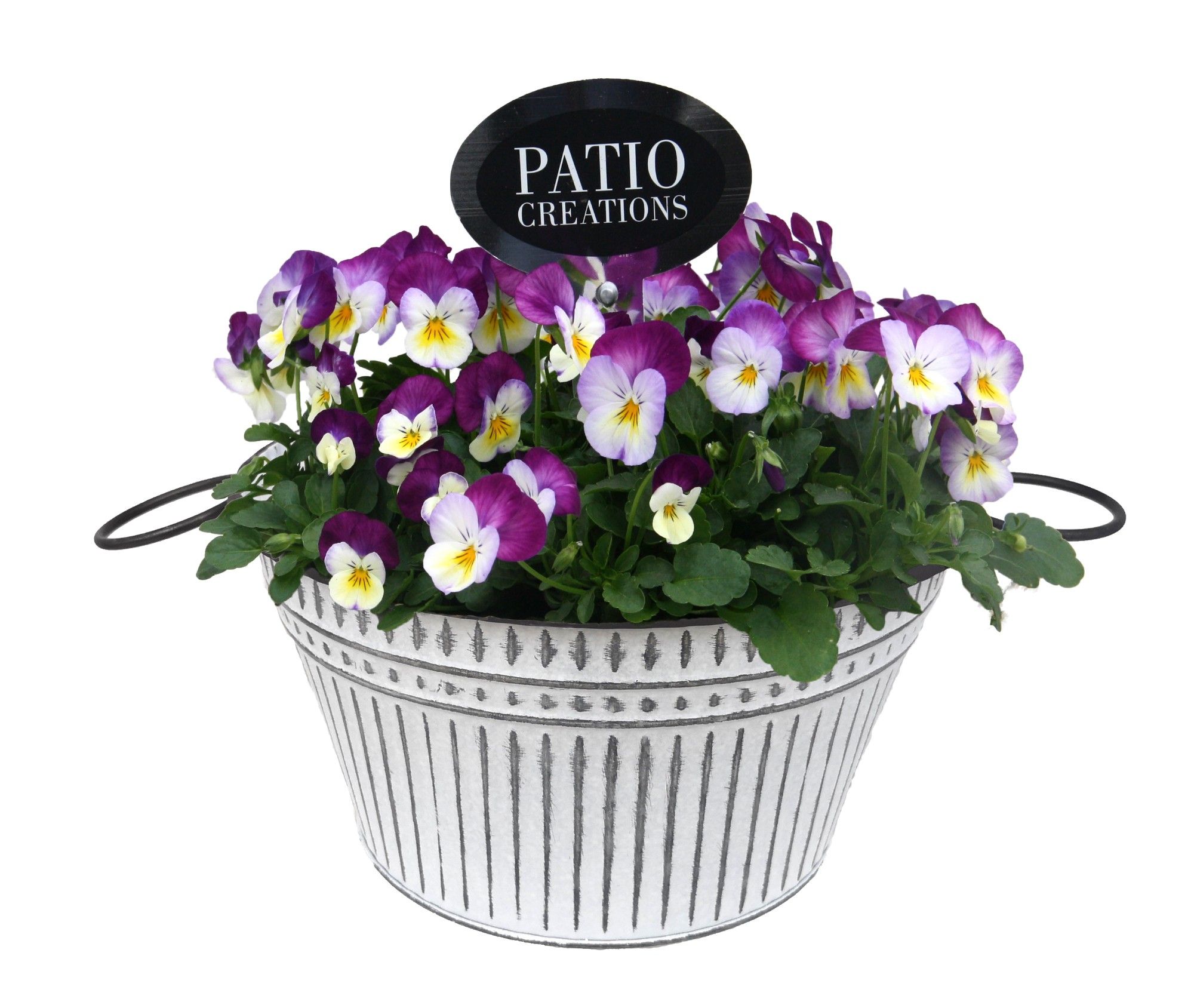 V732-9323 Viola metalen trendschaal L, D 24 cm V732-9323 Viola metalen trendschaal L, D 24 cm