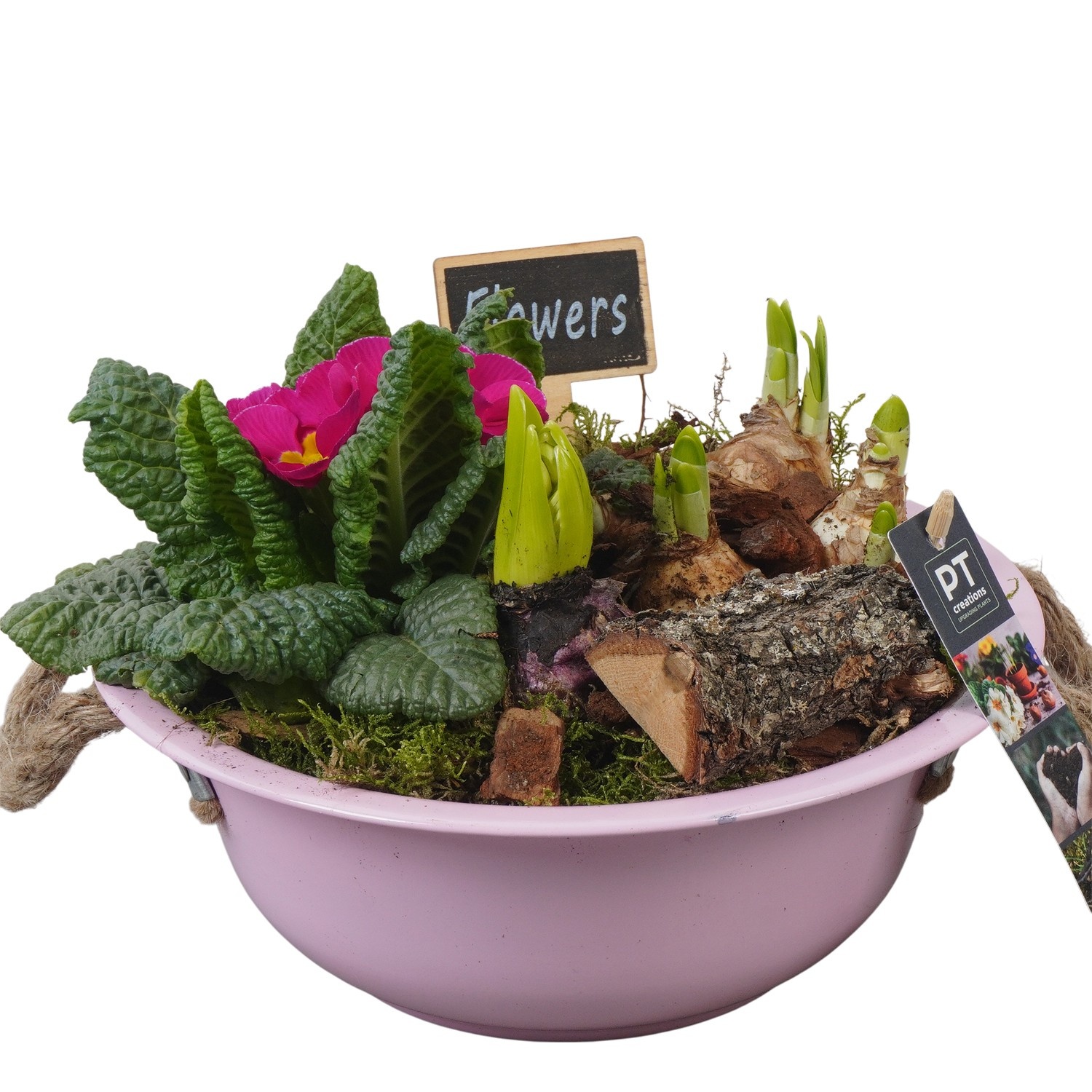 PTBM3711 Arrangement Flower Bulbs Mix in metalen schaal, D 24