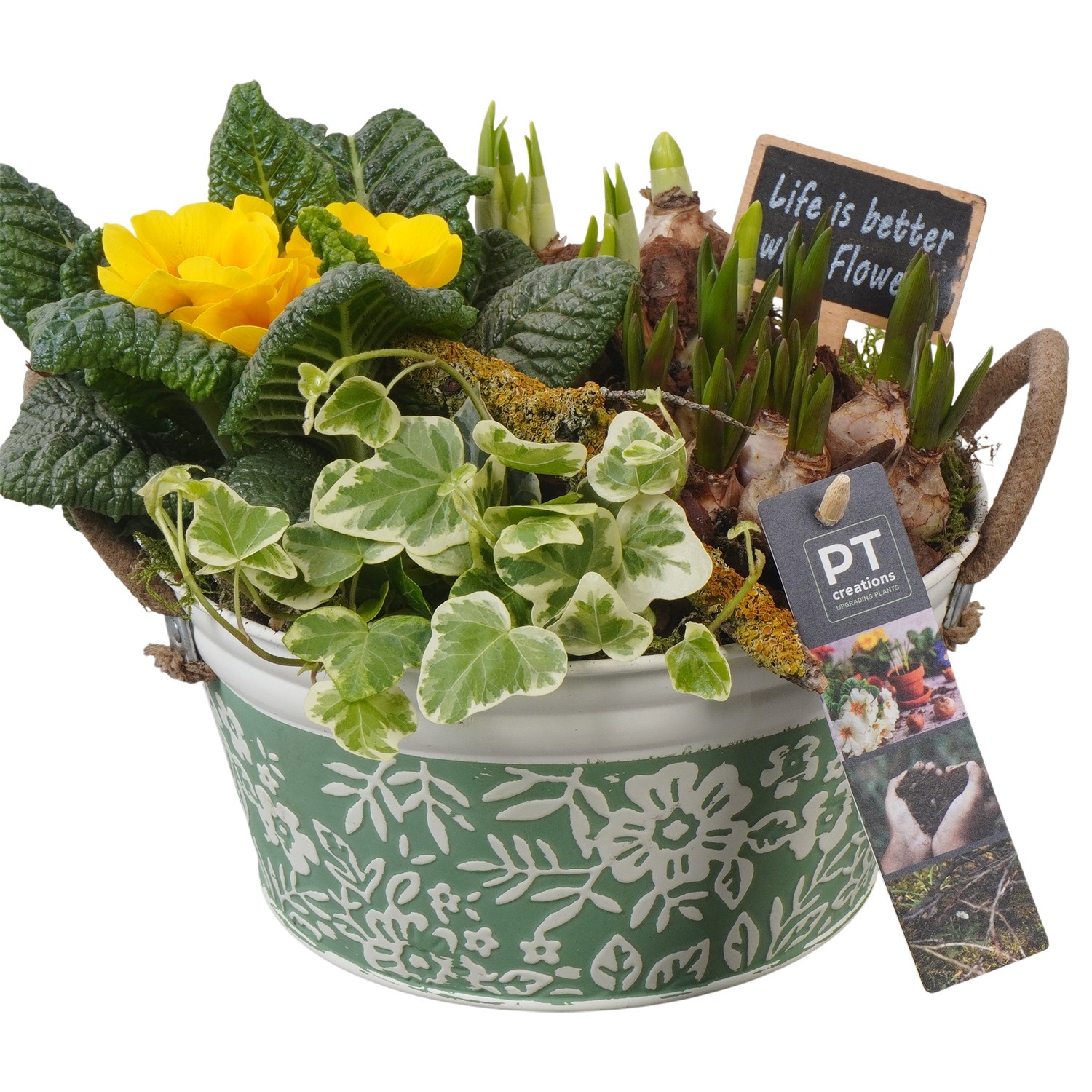 PTBM3756 Arrangement Flower Bulbs Mix in metalen pot, D 20