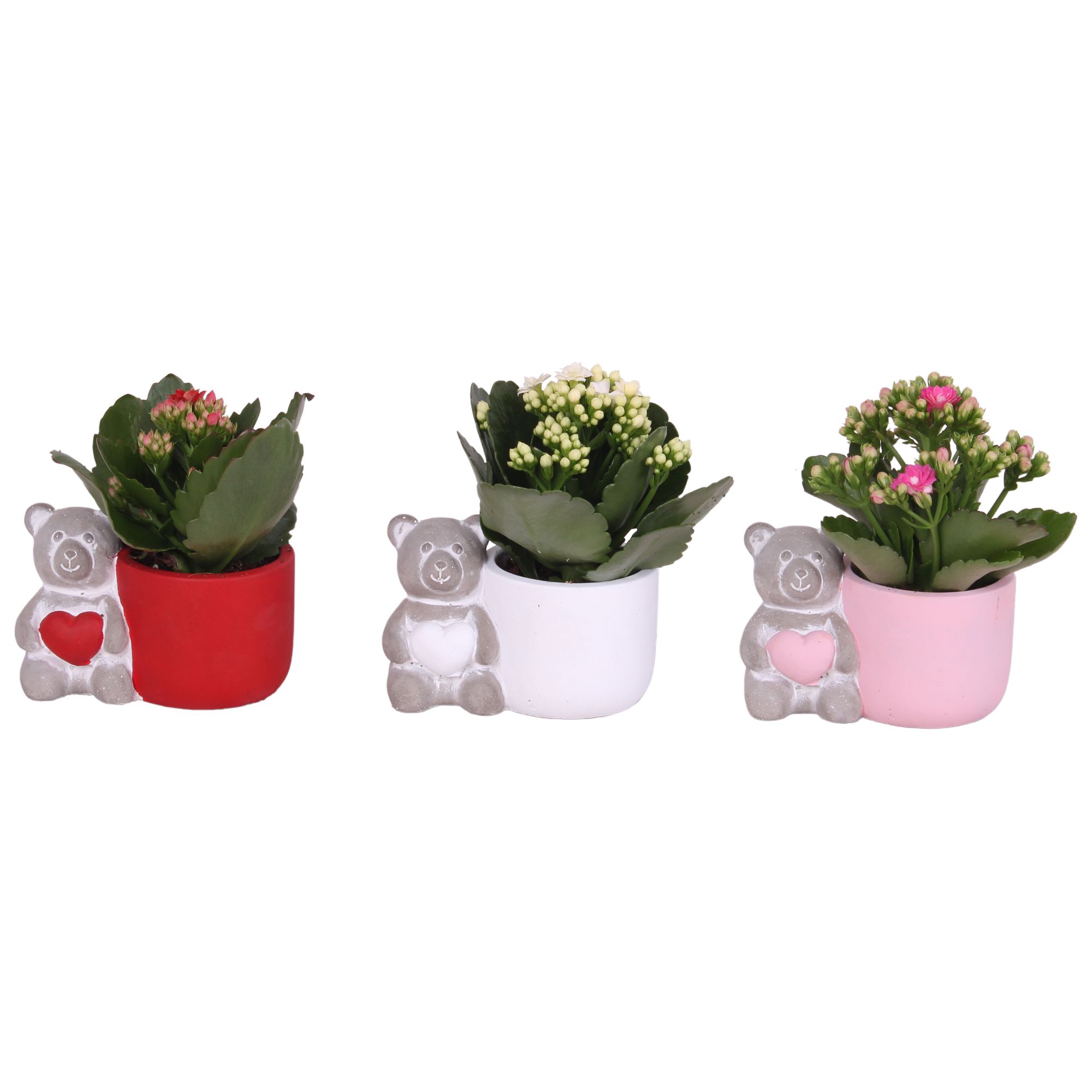 Valentine Arr. Indoor Ceramic Lovebearpot Heart Ø14cm 1PP, D 14