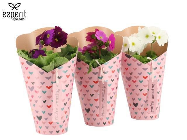 2501082: Solutionss Lovess, D 12