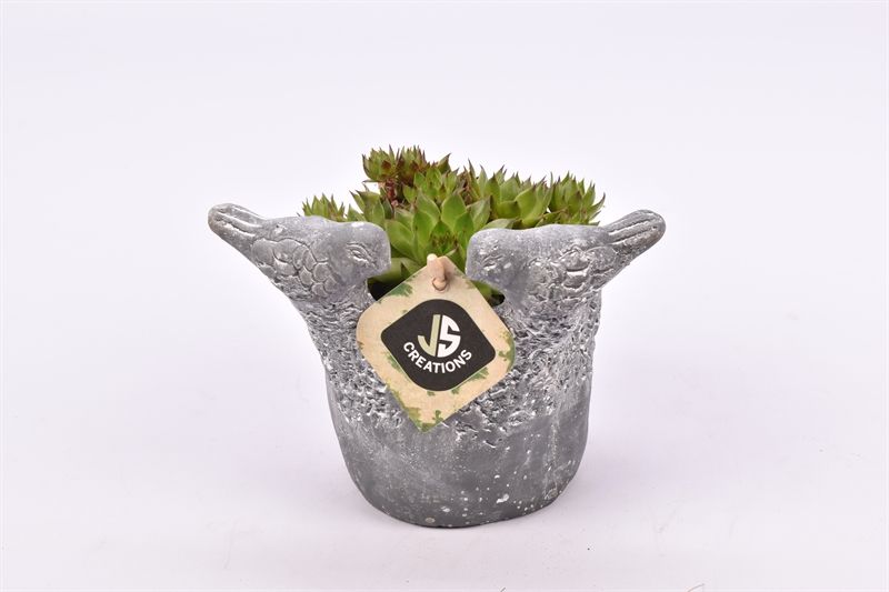 Cement vogelpotje grijs 12cm, D 12