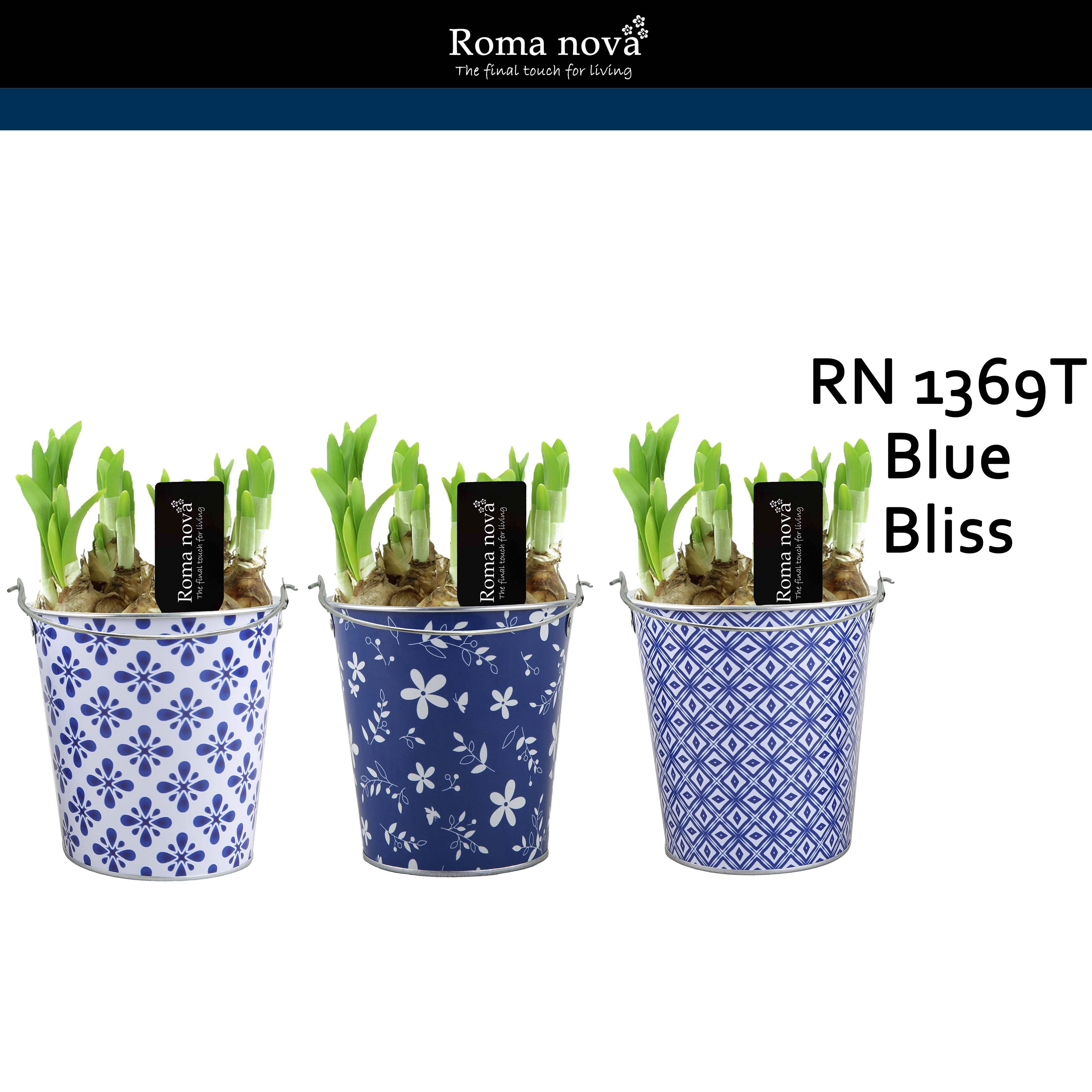 1369T - Blue Bliss (Tete a Tete), D 14 cm
