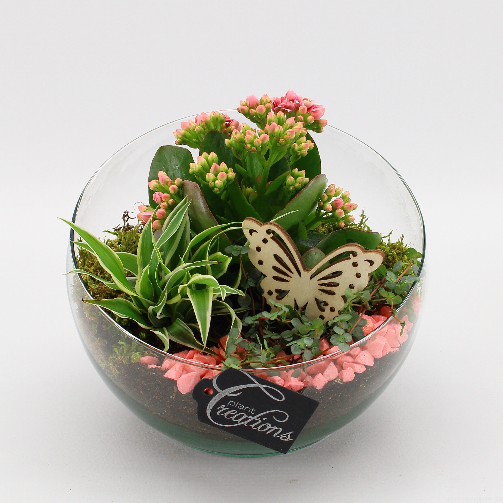 ESCR-2630RZ Essentials, D 18