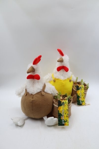 Pasen, kip met zakje L; mix, D 24