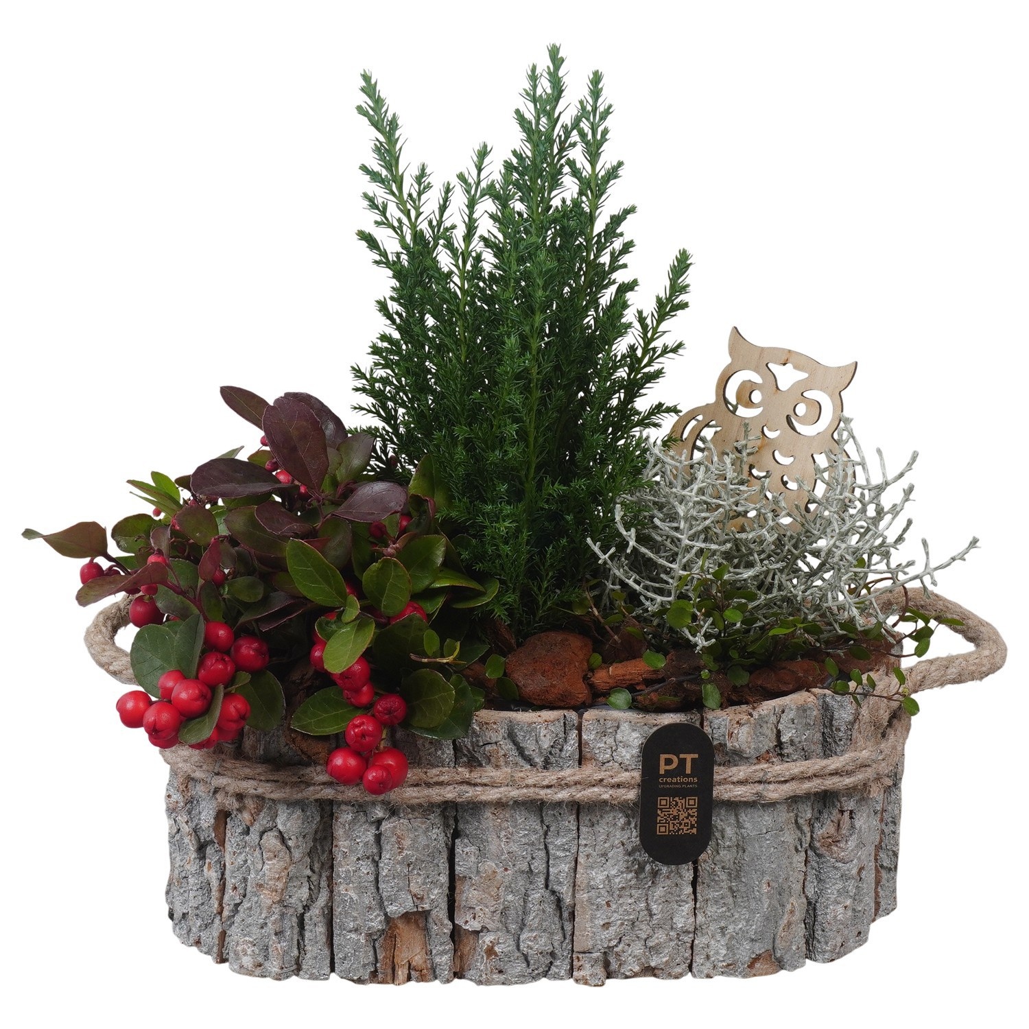 PTWO2808 Arrangement Winter Outdoor in houten bak, D 27