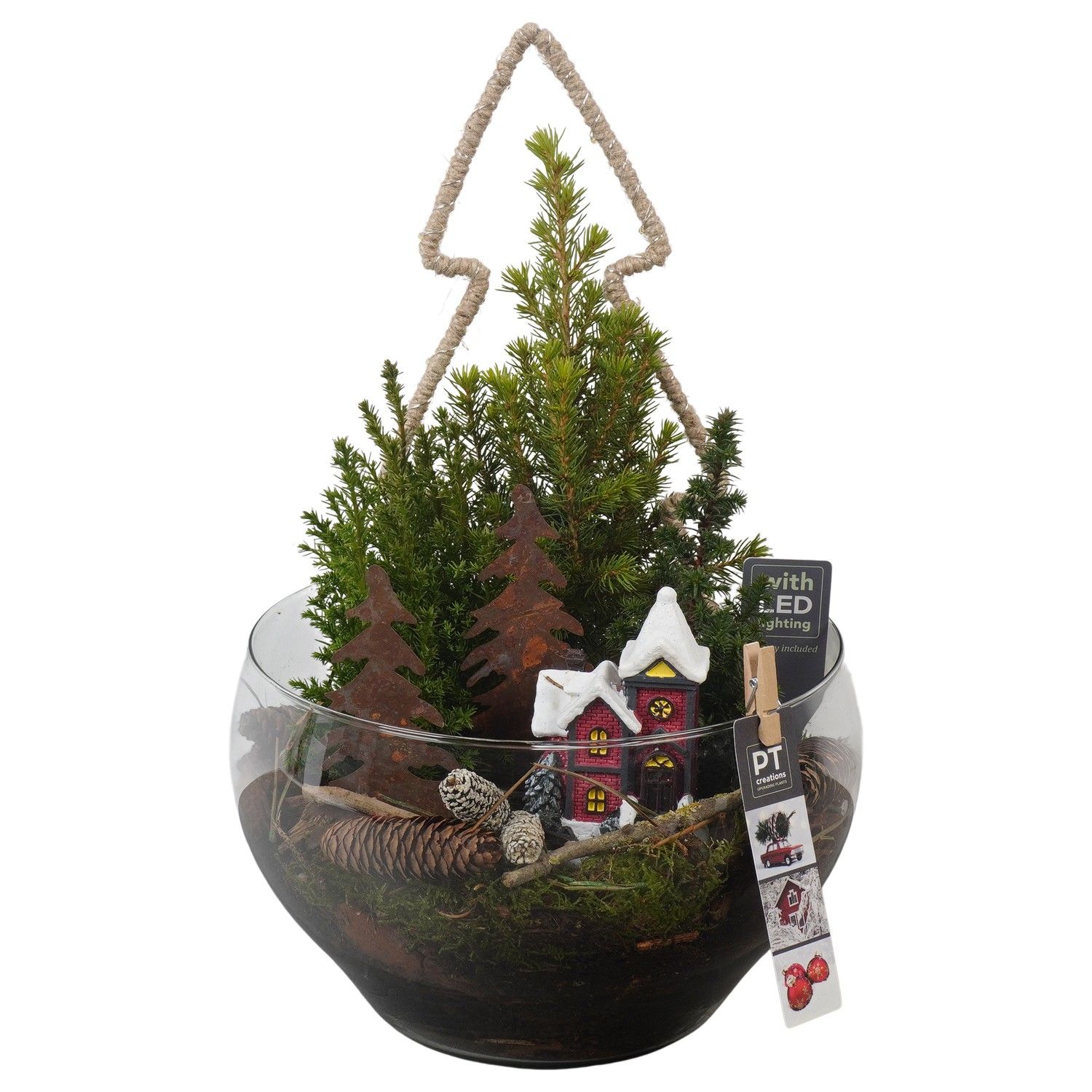 PTCWW6844 Arrangement Winter in glas schaal, D 23 cm