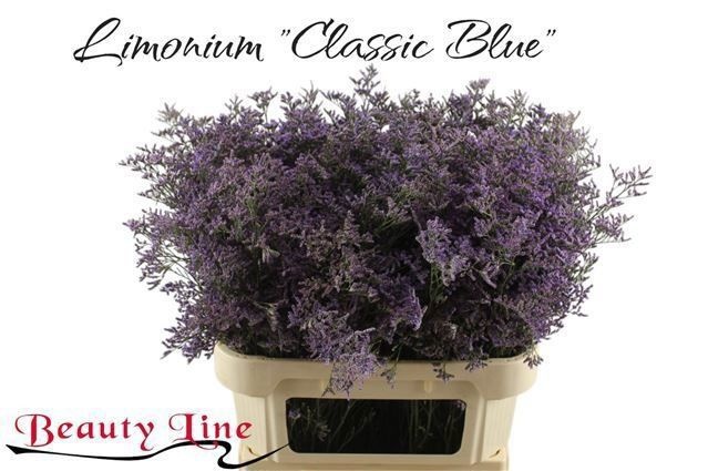 Лимониум Сафора Классик Блю 80, шт.