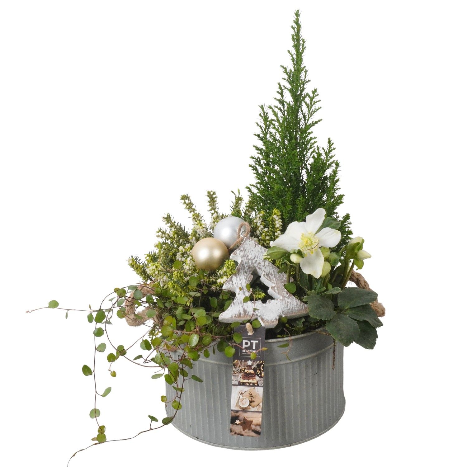 PTWO1943 Arrangement Winter Outdoor in metalen bak, D 21 cm PTWO1943 Arrangement Winter Outdoor in metalen bak, D 21 cm