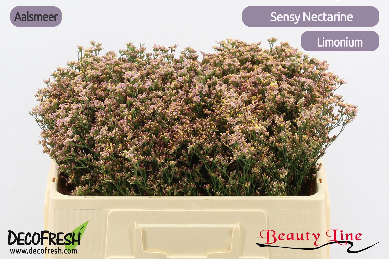 Лимониум Сенси Нектарин 50, шт.