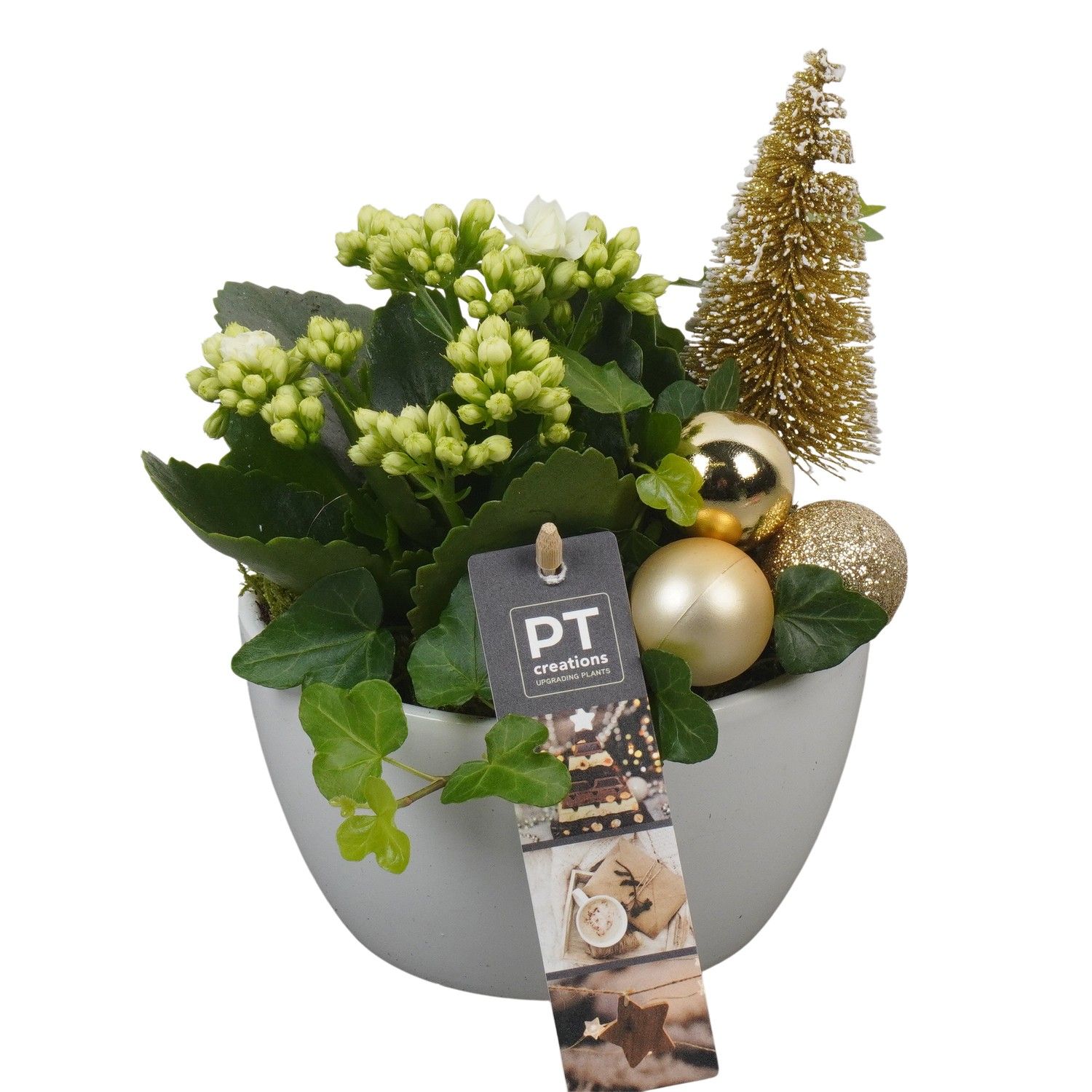 PTCHG5621 Arrangement Christmas Gold in keramiek schaal, D 14 cm