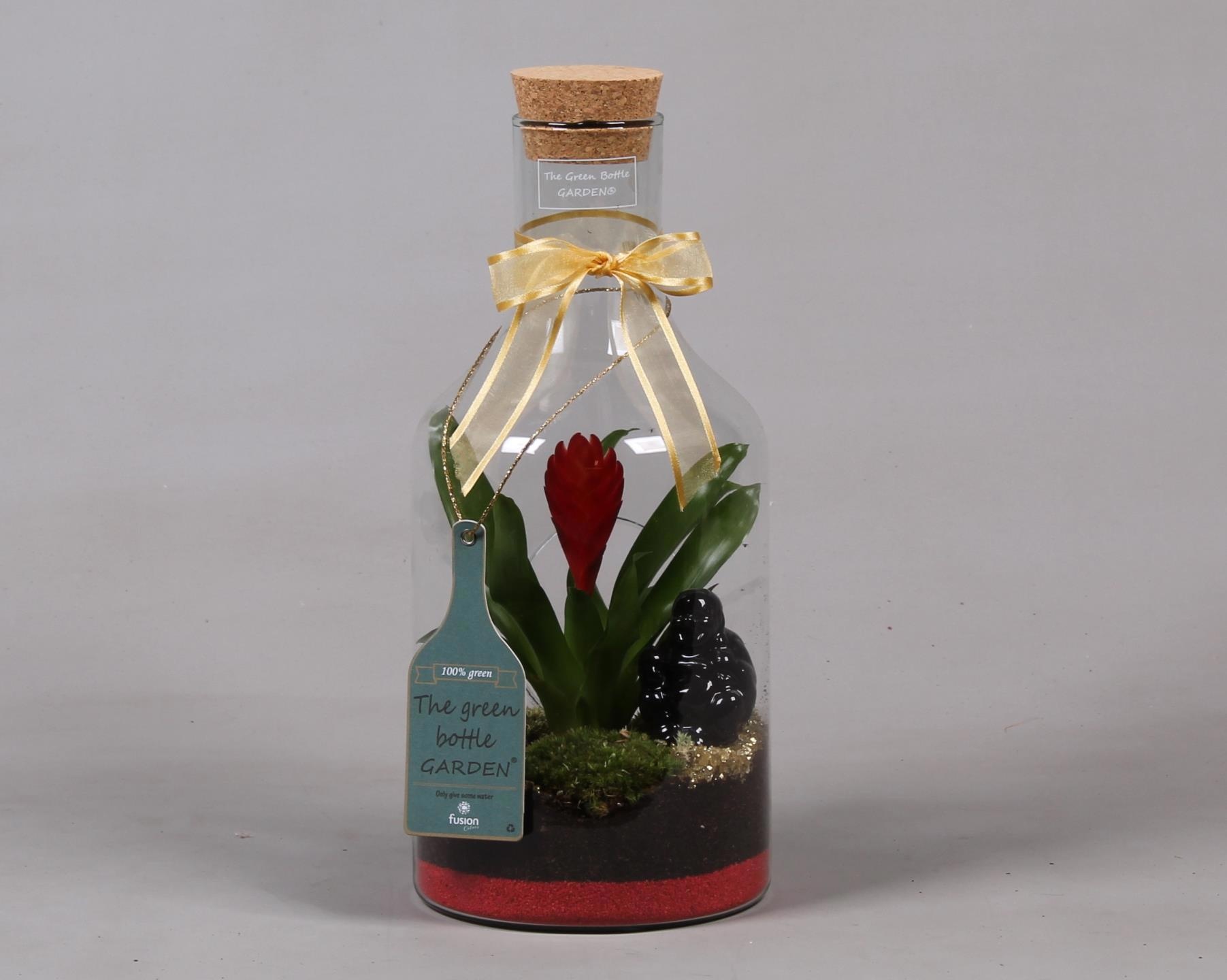 Green Bottle Fles Small met Bromelia en buddha, D 15