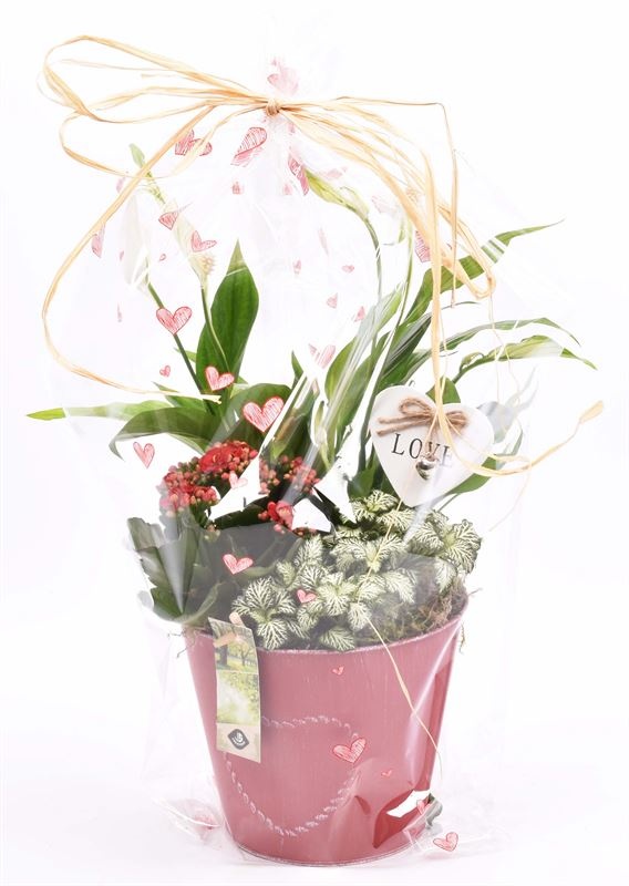 Zink pot rood met hart 18cm, D 13