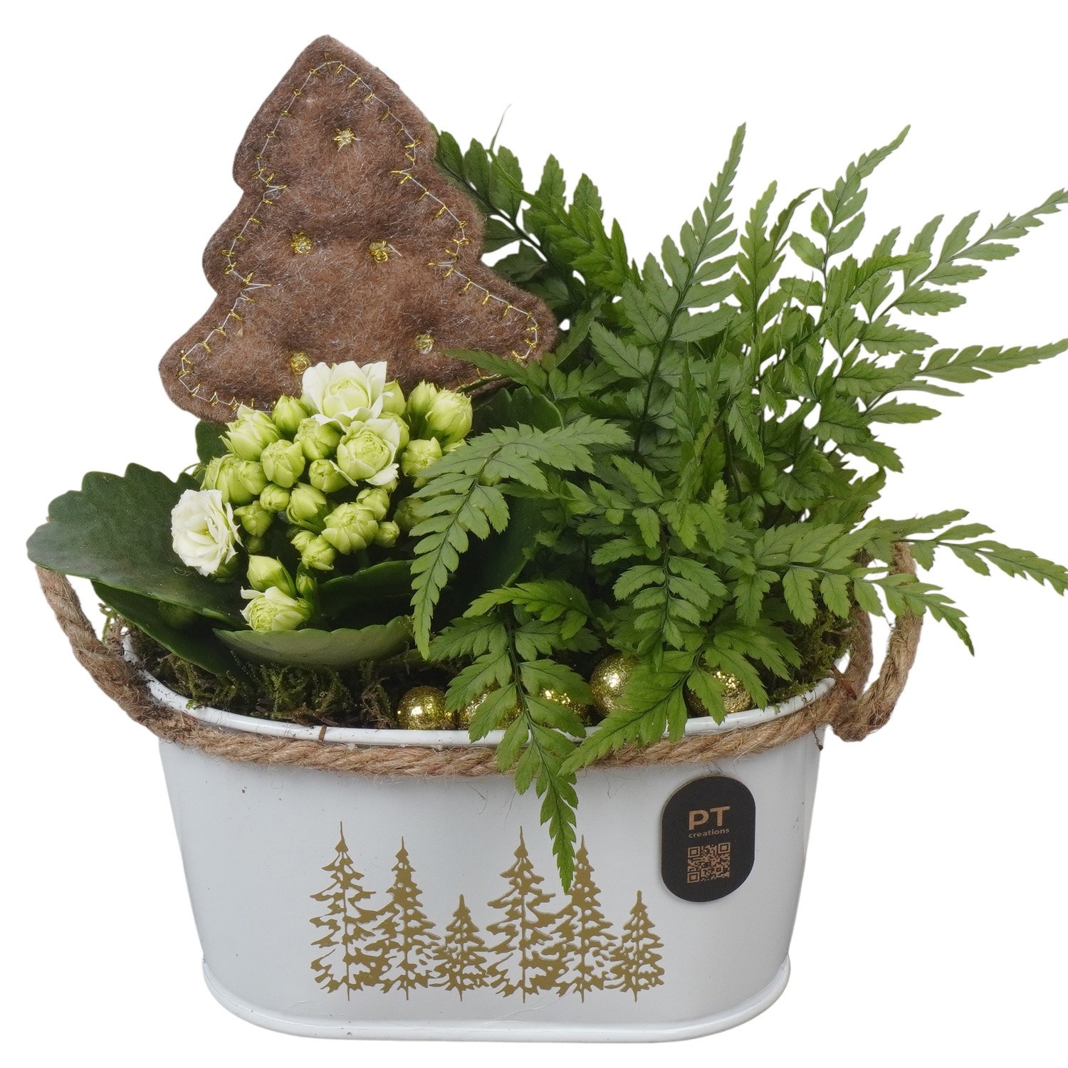 PTCHG4639 Arrangement Christmas Gold in metalen pot, D 15