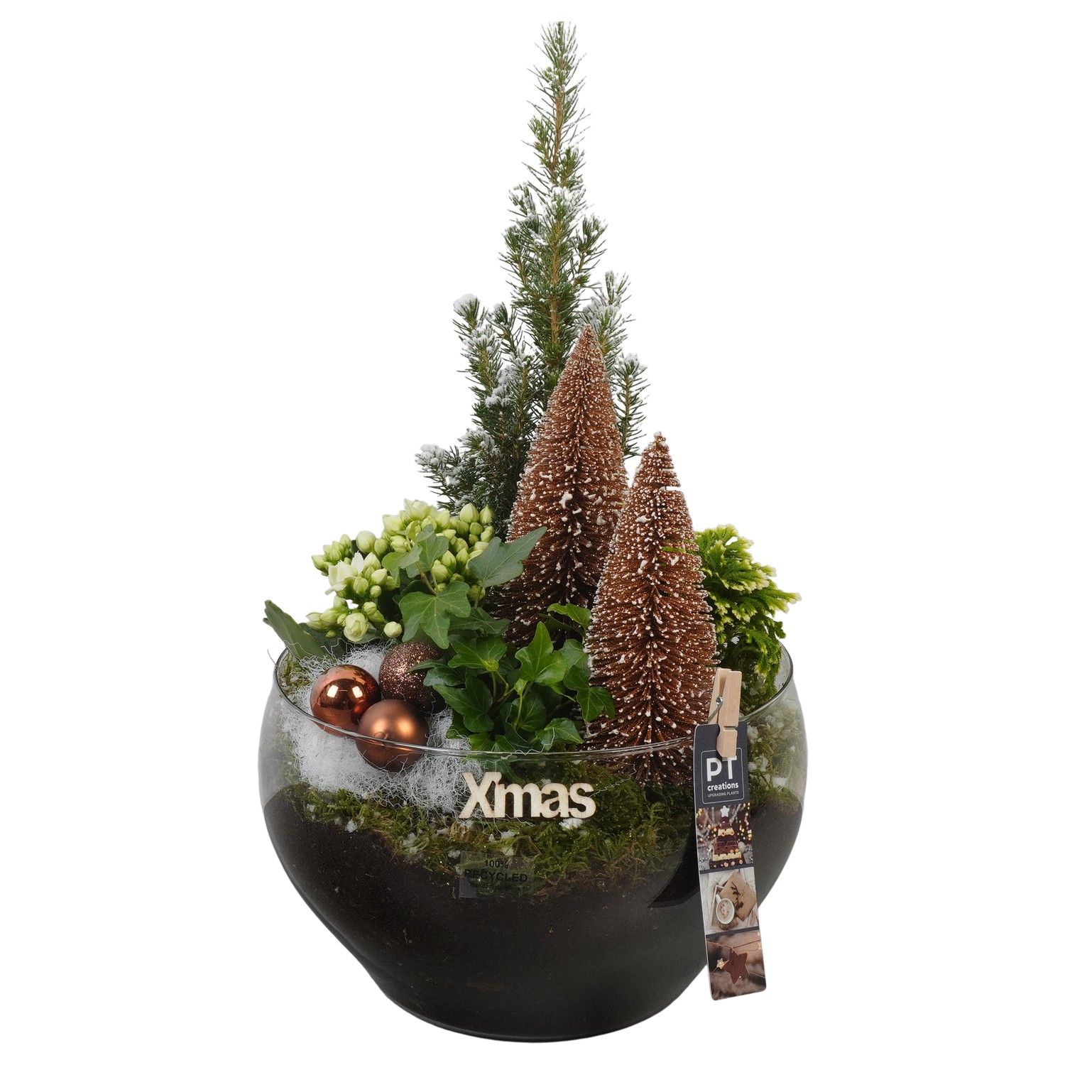 PTCHB9889 Arrangement Christmas Bronze in glas schaal, D 23 cm