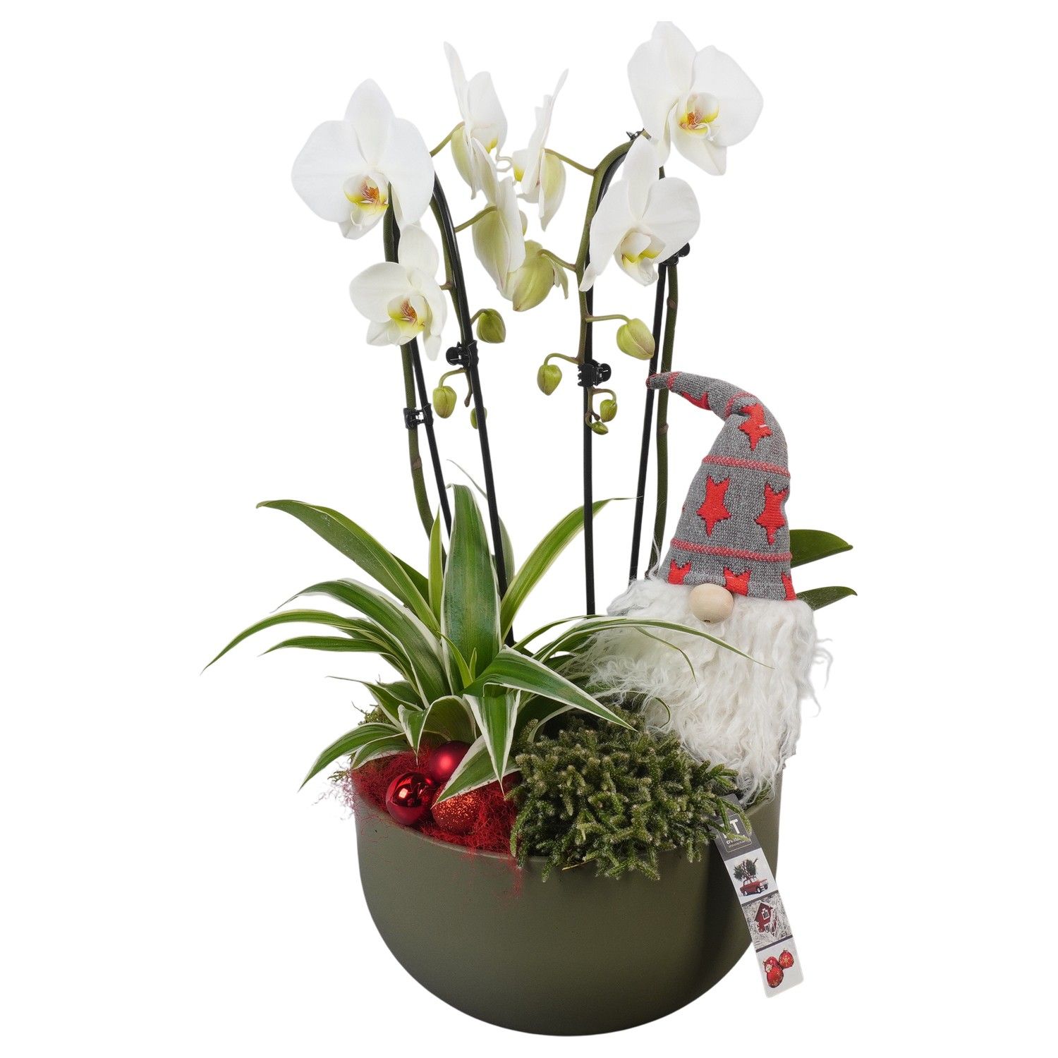 PTCHR7262 Arrangement Christmas Red in keramiek schaal, D 26 cm