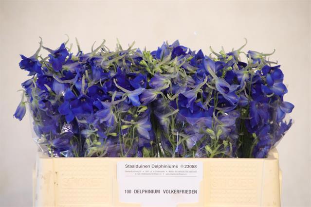 Дельфиниум од. Фолькерфриден 50, шт.
