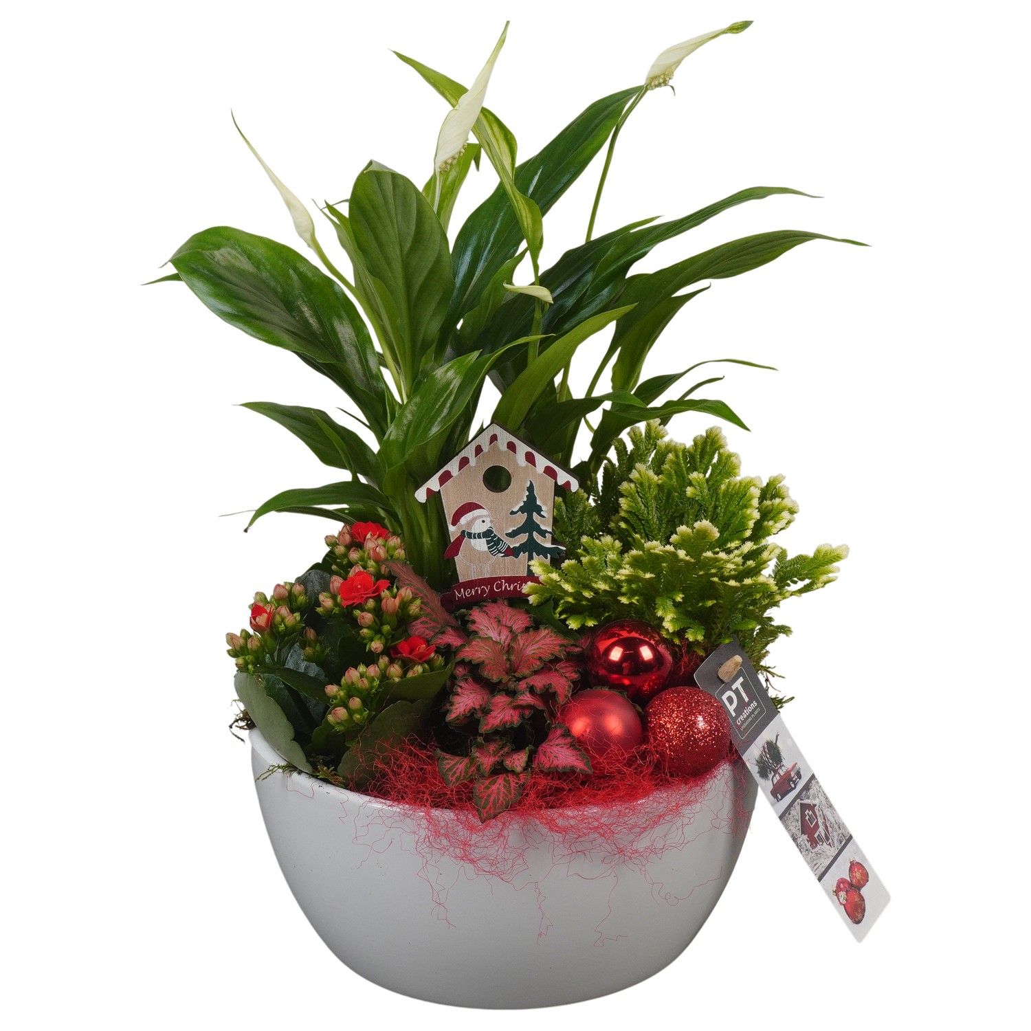 PTCHR7247 Arrangement Christmas Red in keramiek schaal, D 18 cm